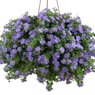 Бакопа Gulliver Blue (0,1л.)