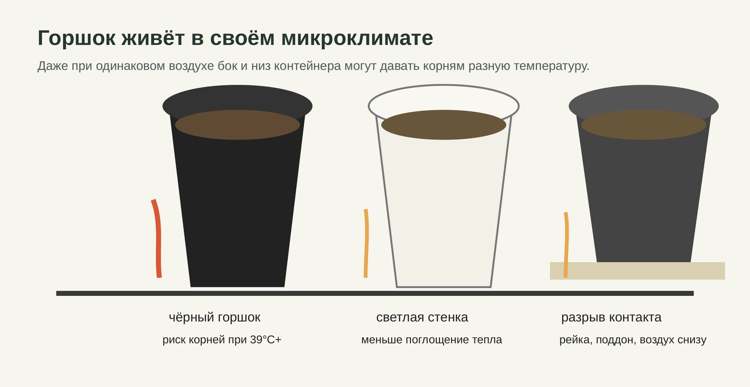 Как горячая поверхность перегревает корневой ком в горшке