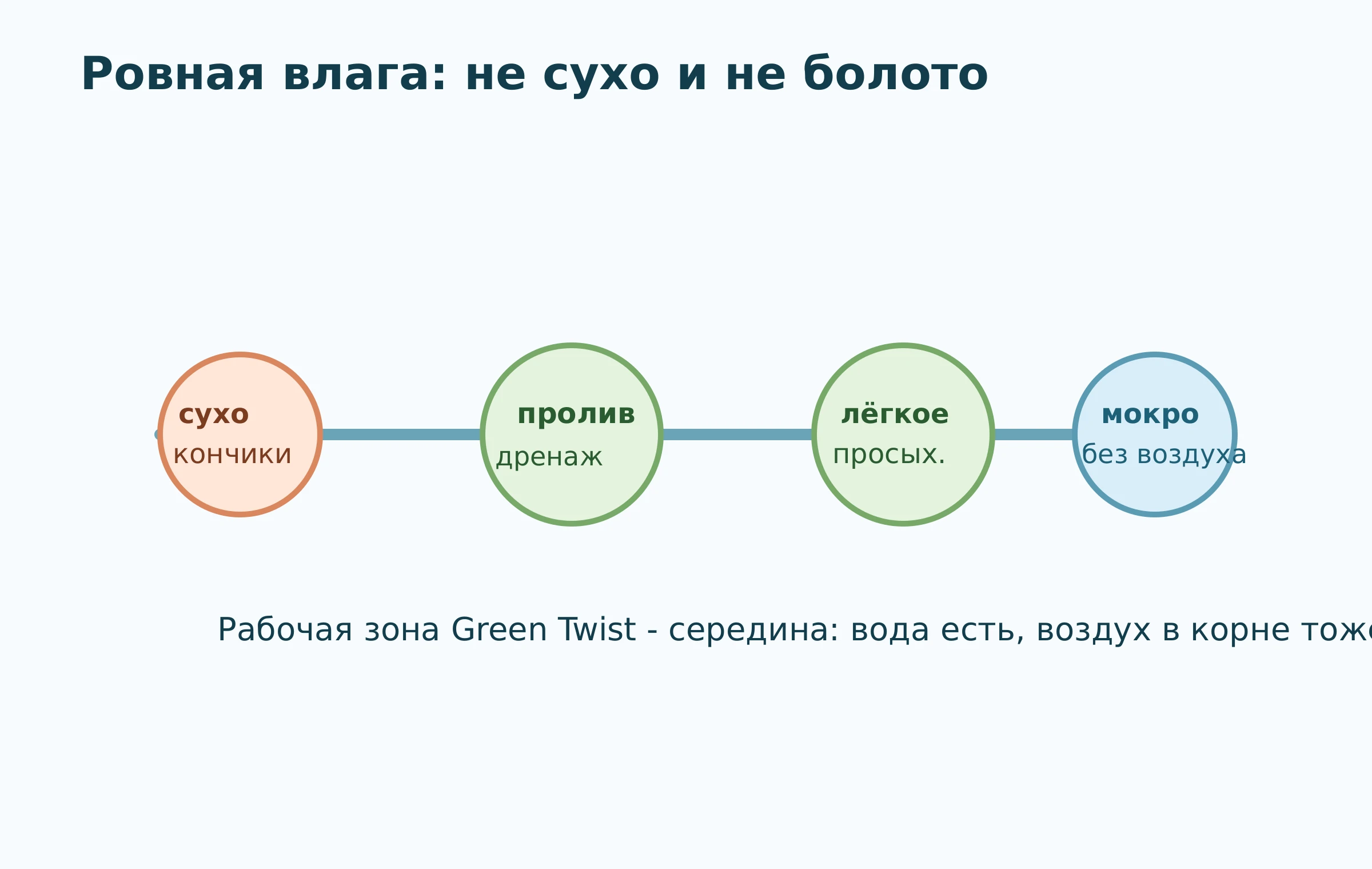 Ритм влажности для Агростиса Green Twist в маленьком горшке