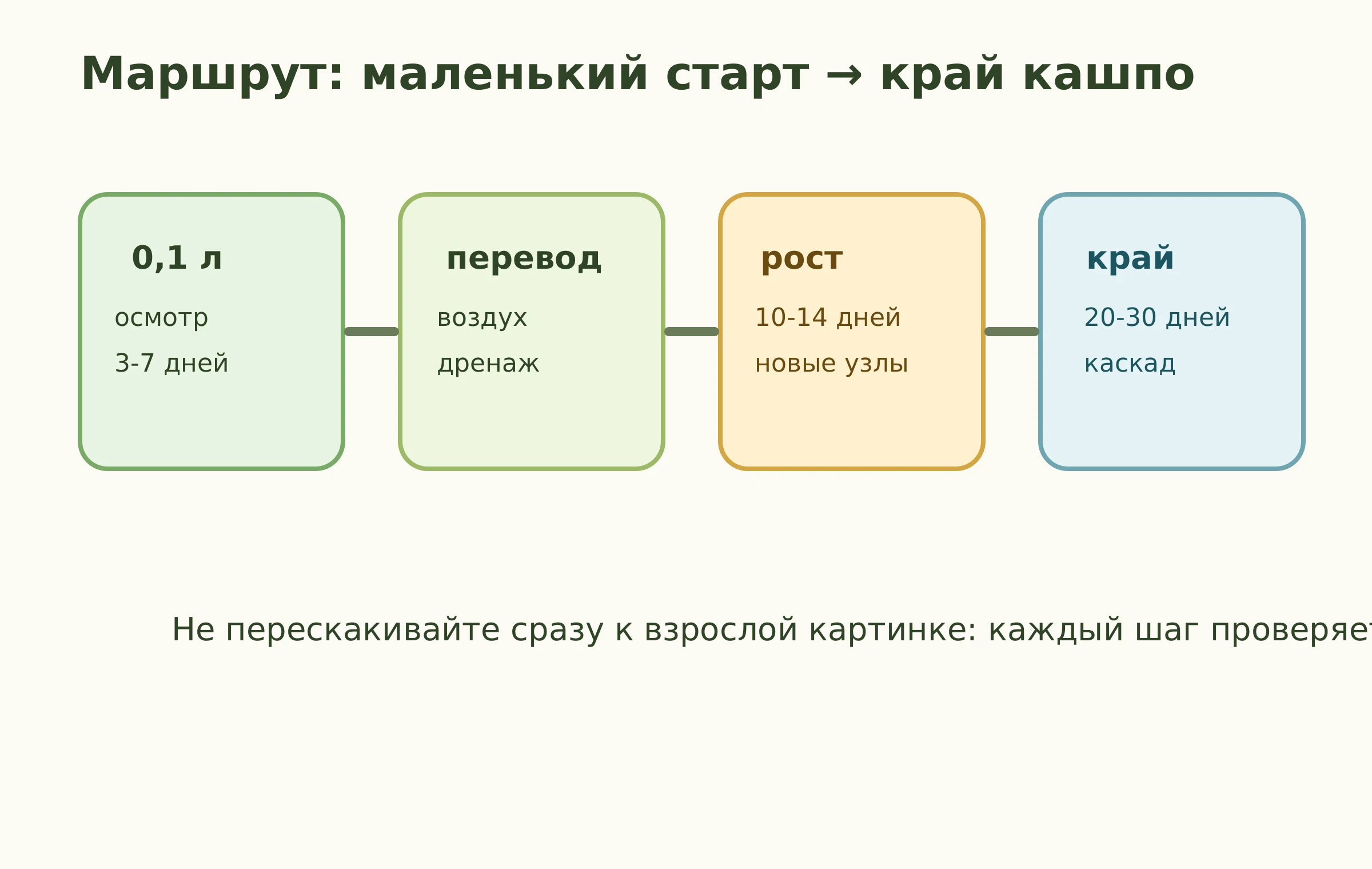 Маршрут Агростиса Green Twist от 0,1 л к ампельному краю