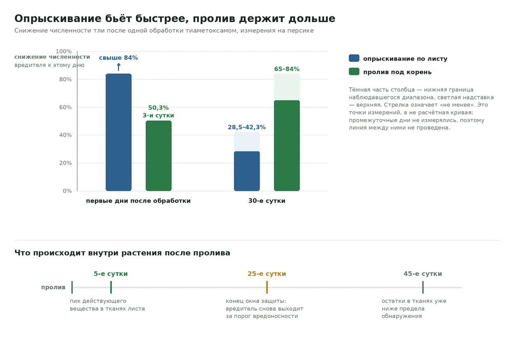 График сравнения эффективности опрыскивания и полива под корень тиаметоксамом в первые дни и на 30-е сутки