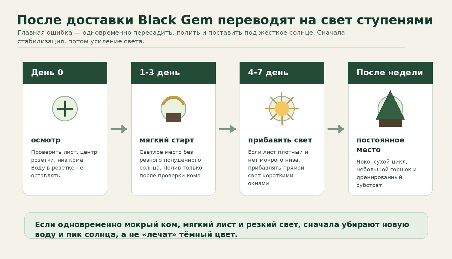 Схема 7-дневной адаптации Aloe Black Gem после доставки