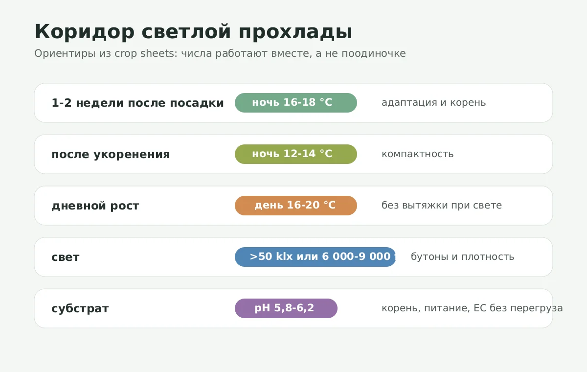 Диаграмма режимов света, температуры и pH для аргирантемума