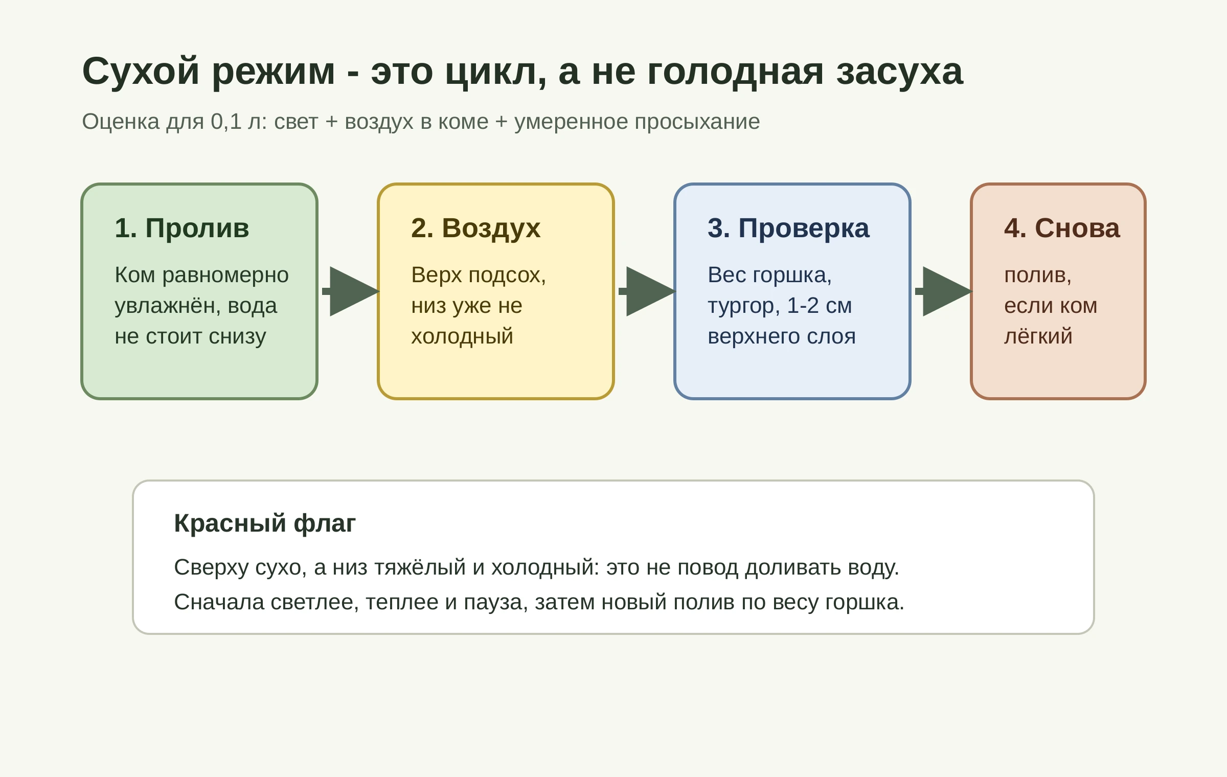 Схема сухого режима Артемизии Кола: свет, дренаж, просыхание и повторный полив