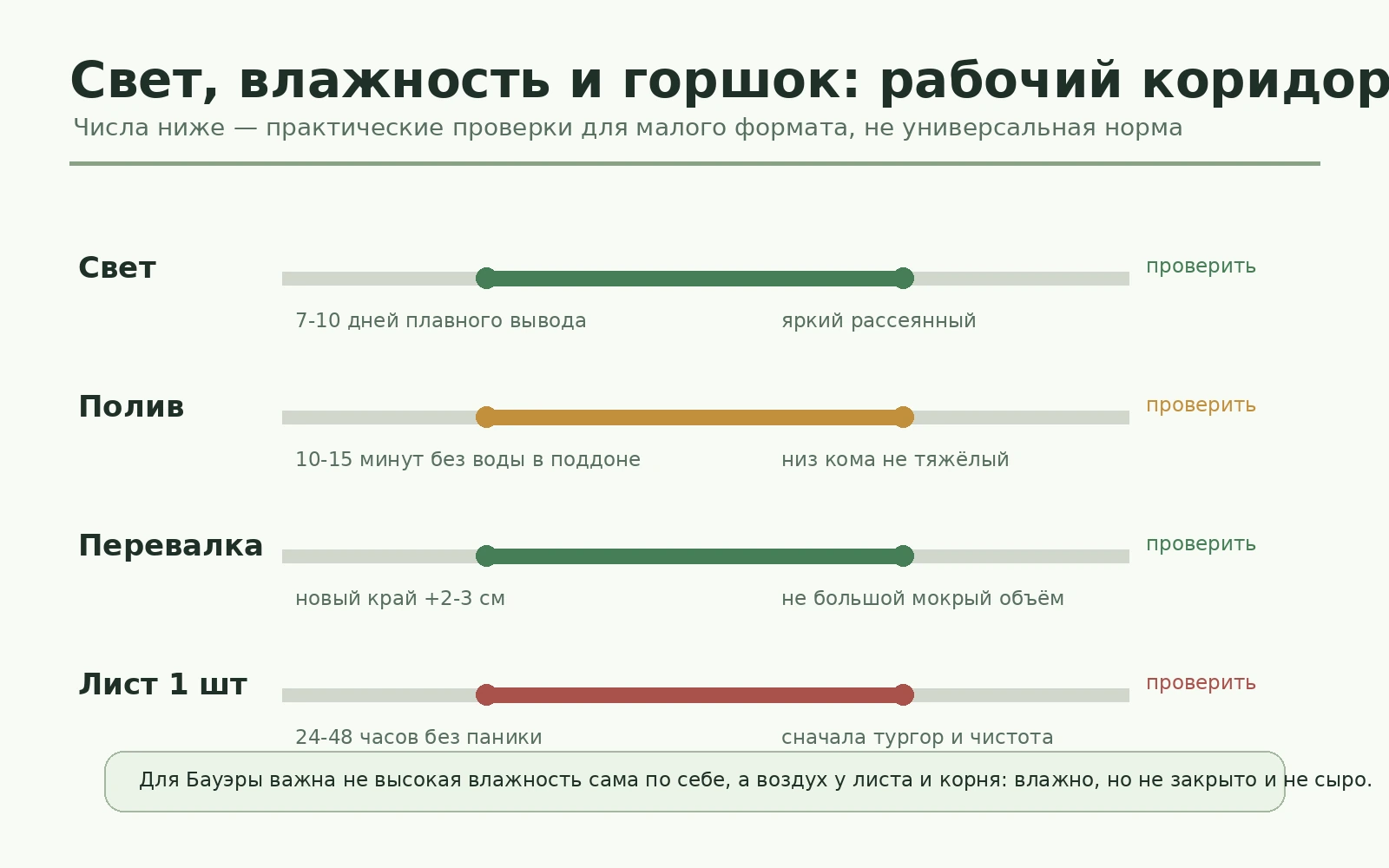 Рабочий коридор для Бегонии Бауэра: свет, полив, перевалка и листовой старт.