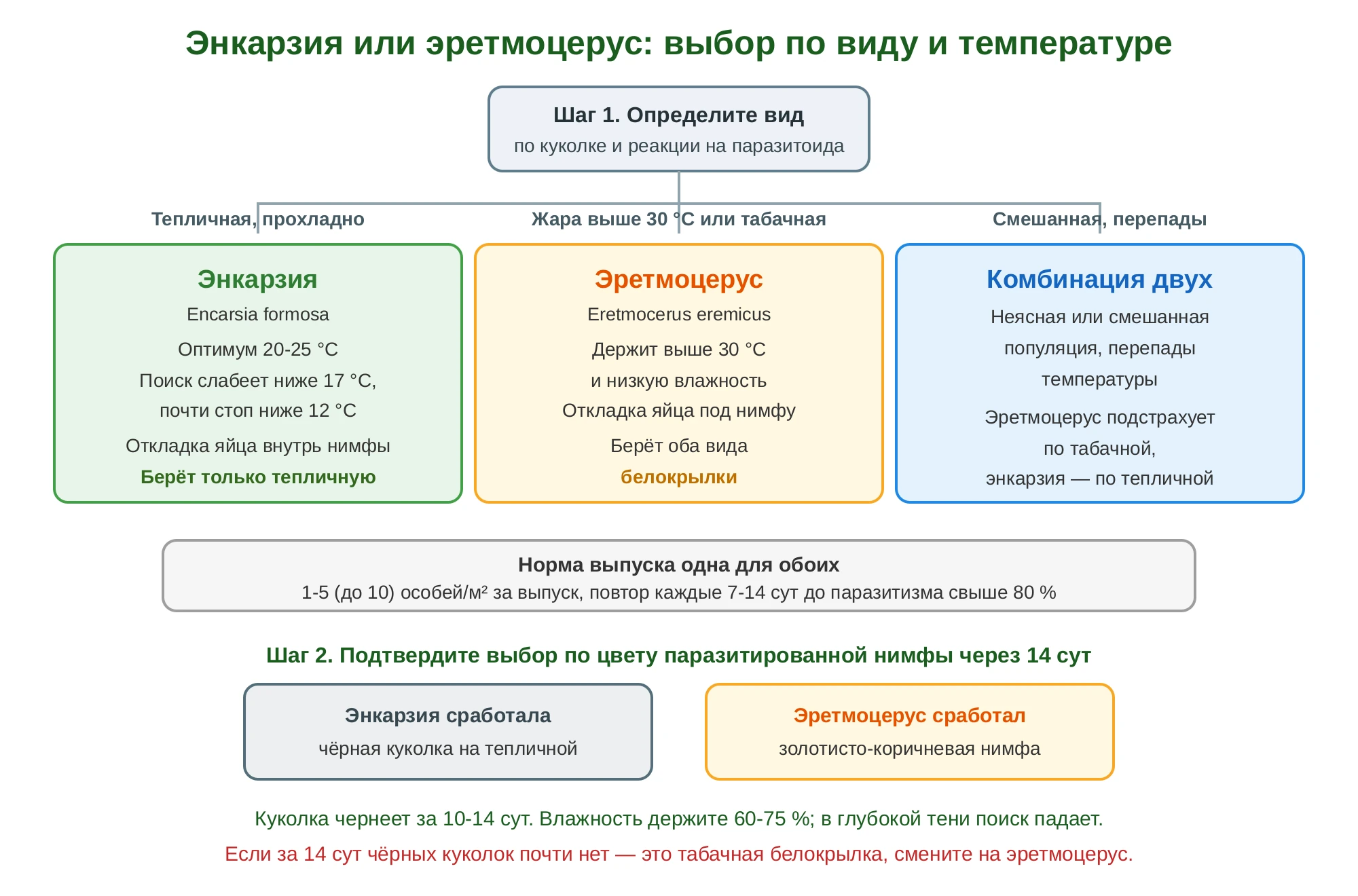 Дерево решения: при тепличной белокрылке в прохладе — энкарзия, при жаре выше 30 °C или табачной — эретмоцерус, при смешанной популяции — комбинация двух; выбор подтверждают по цвету паразитированной нимфы