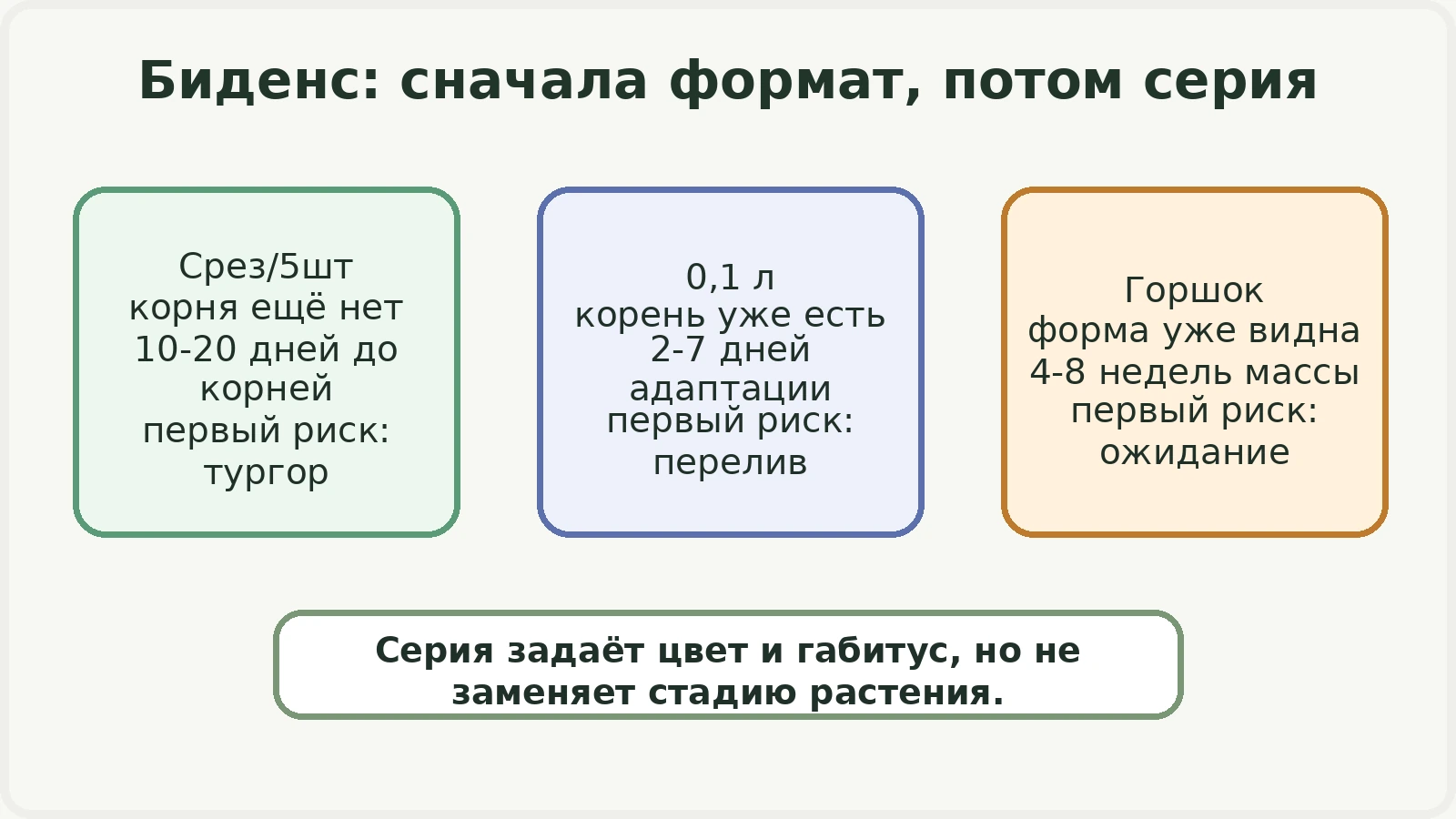Схема различий между срезом 5 штук, биденсом 0,1 литра и подрощенным горшком