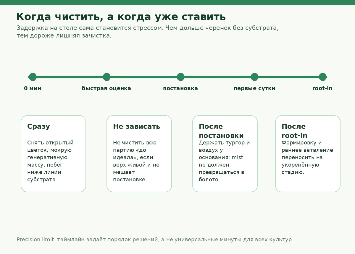 Схема потерь времени между распаковкой, зачисткой, постановкой и входом корней в субстрат