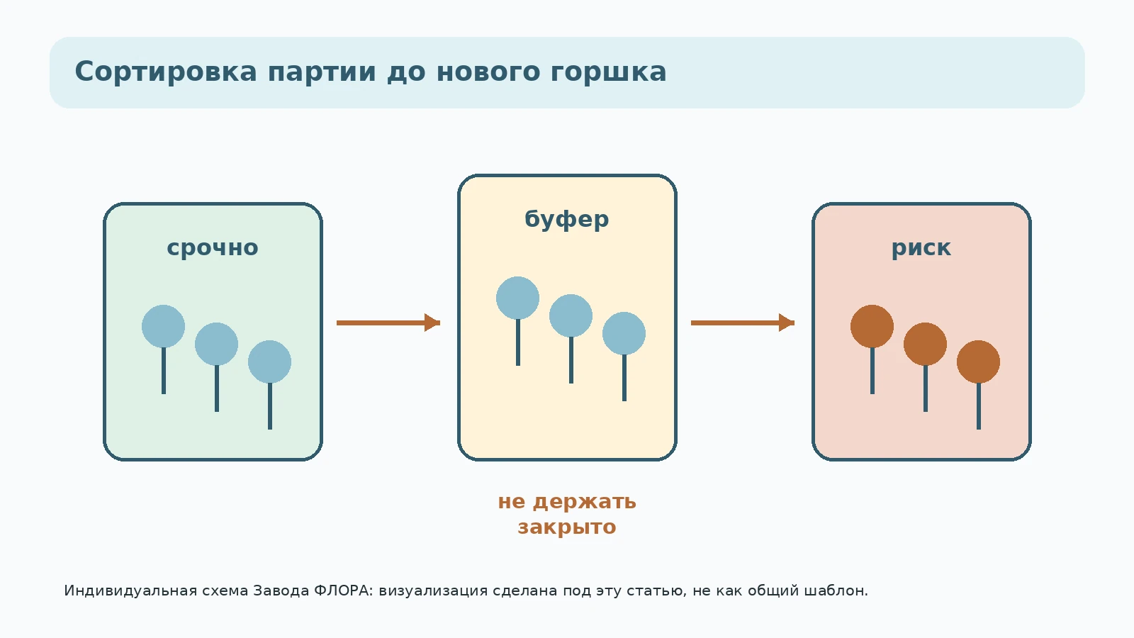 Полка сортировки растений: срочно, буфер и риск