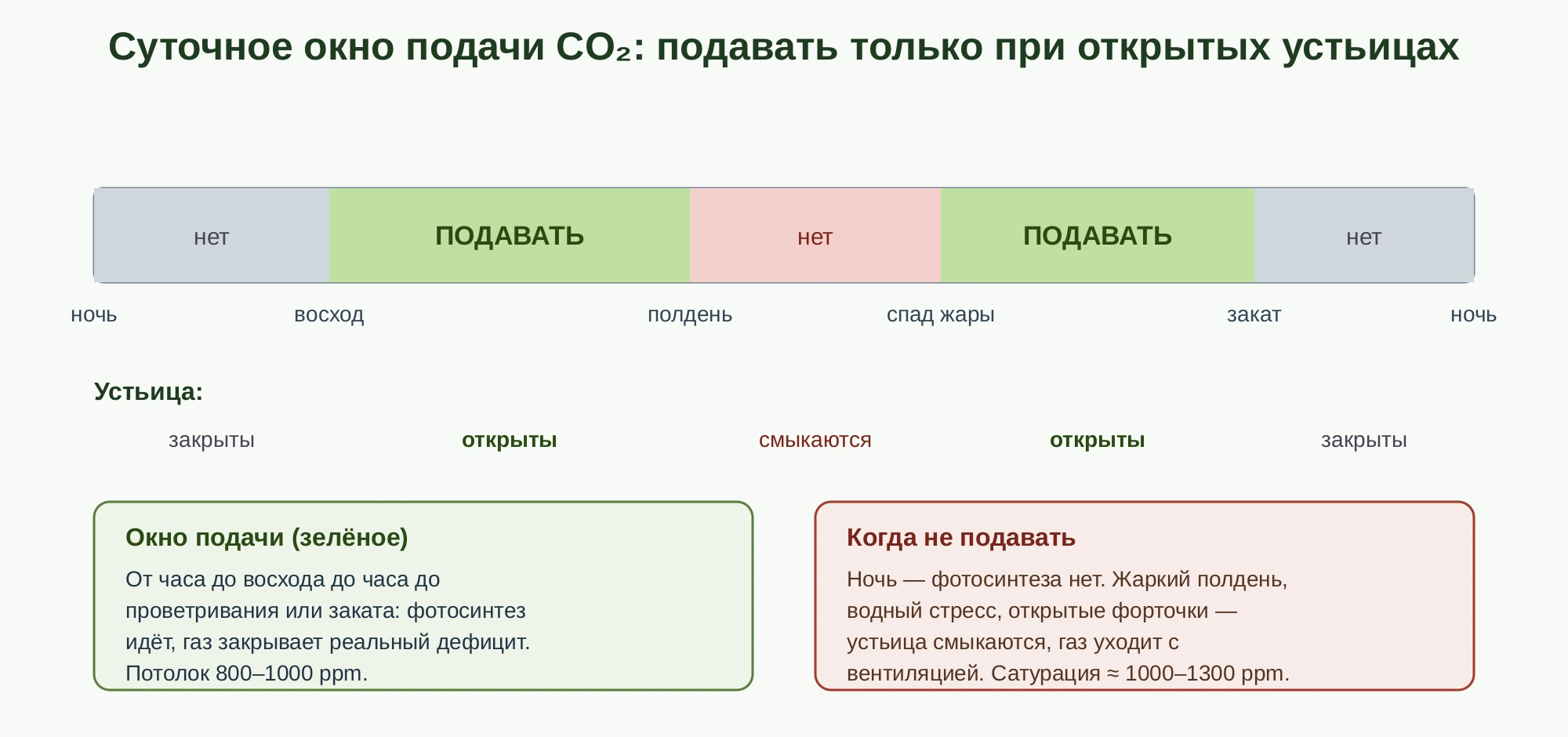 Суточное окно подачи CO2: ночь и жаркий полдень устьица закрыты подавать газ бесполезно, утро и послеобеденный период устьица открыты газ работает