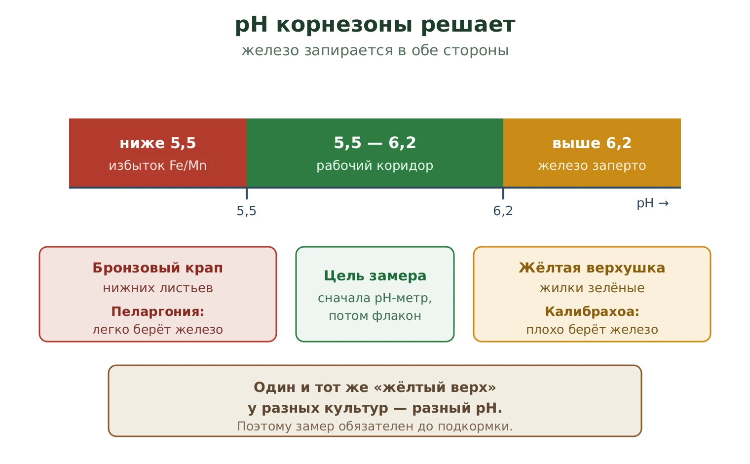 Шкала pH корнезоны: ниже 5,5 токсичность железа у пеларгонии, коридор 5,5 до 6,2 норма, выше 6,2 запирание железа у калибрахоа