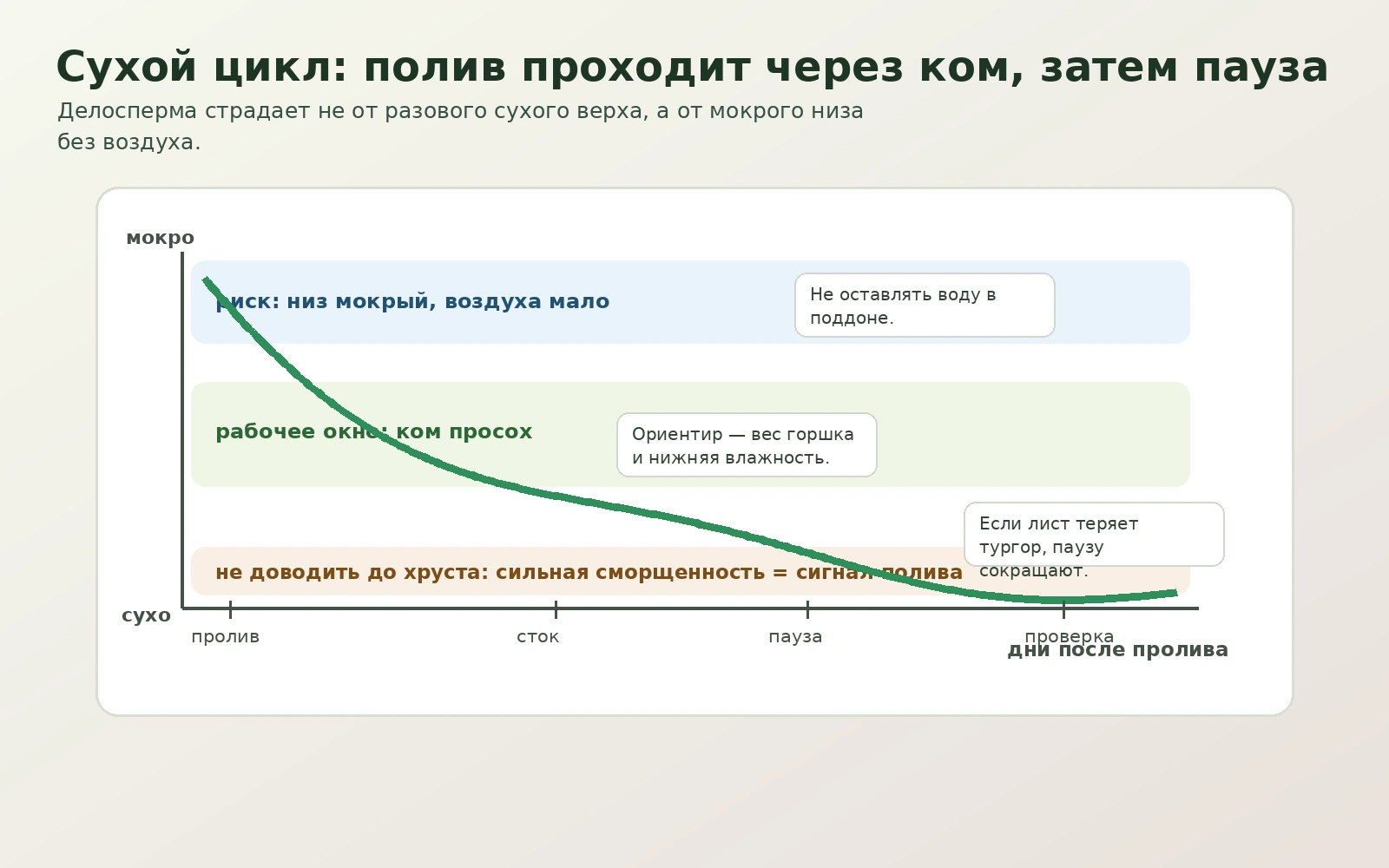 Сухой цикл делоспермы: пролив, сток, пауза и проверка перед новым поливом