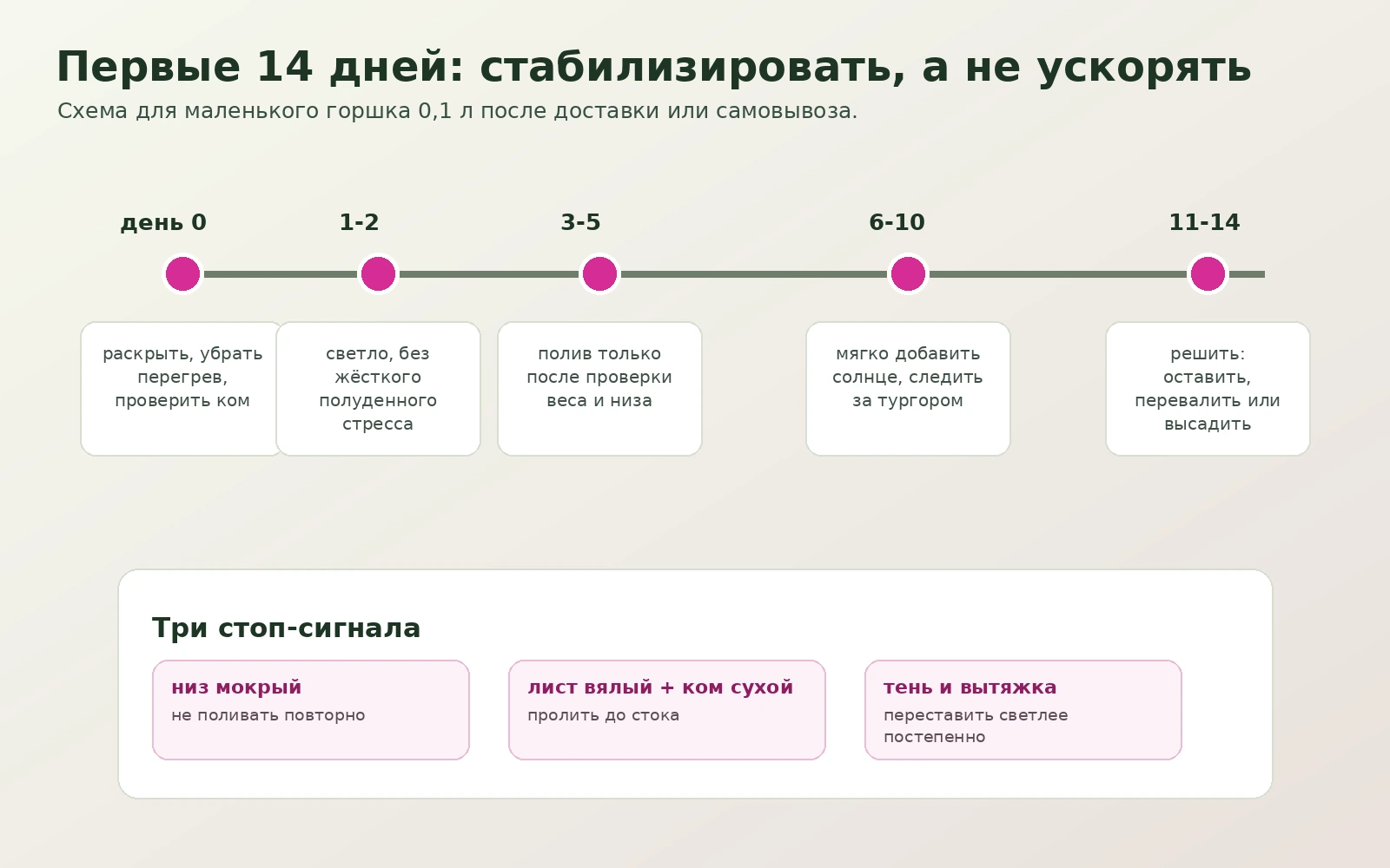 Первые 14 дней делоспермы 0,1 л: распаковка, свет, полив и решение о перевалке