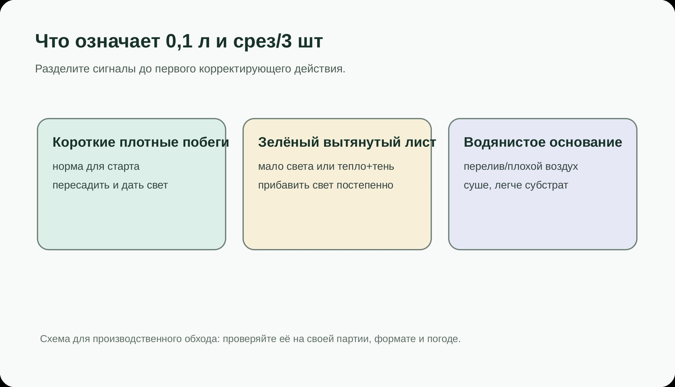 Как читать старт дихондры Silver Falls: короткий побег, зелёное вытягивание и водянистое основание