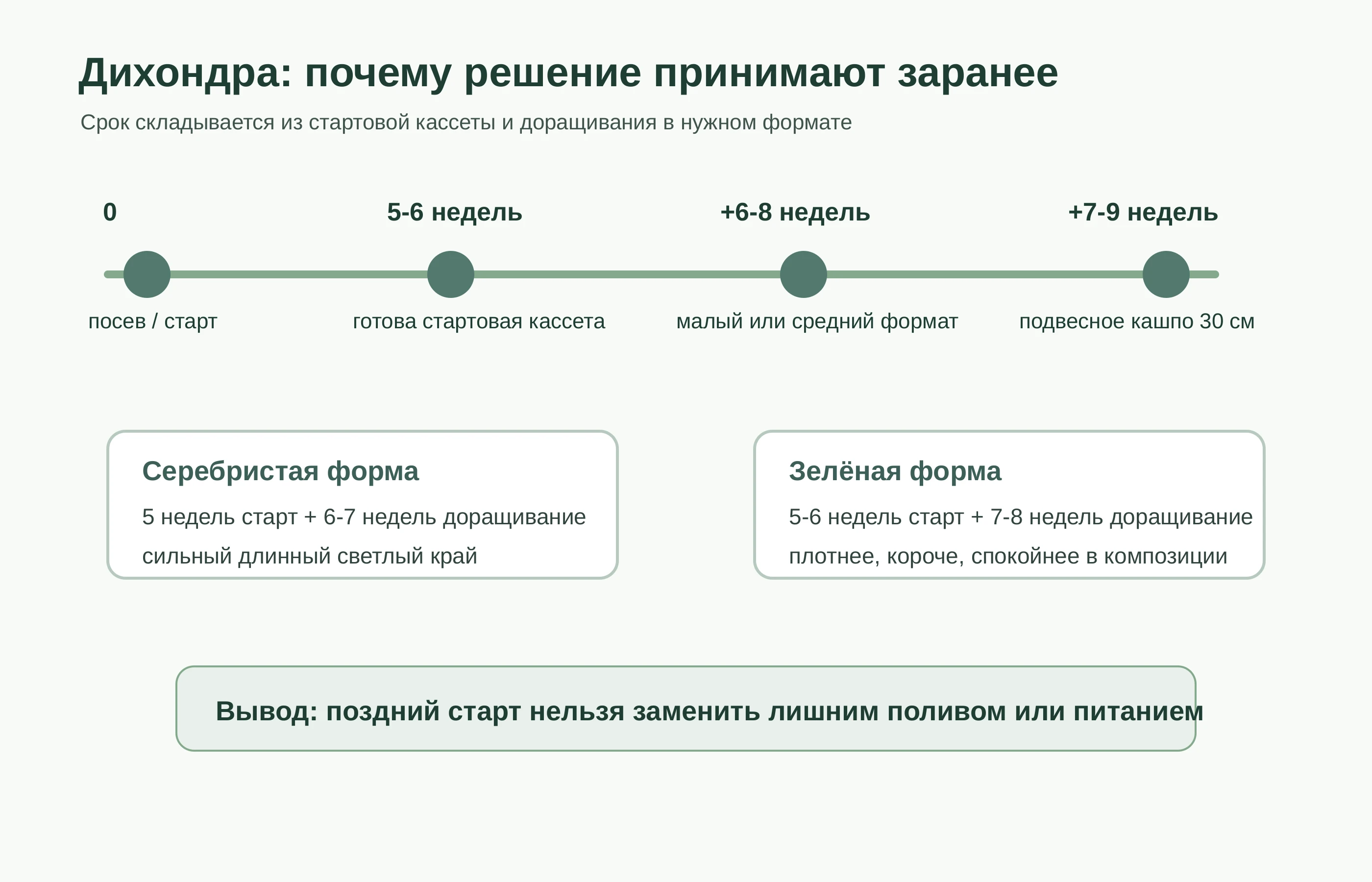 Схема цикла дихондры от стартовой кассеты до подвесного кашпо