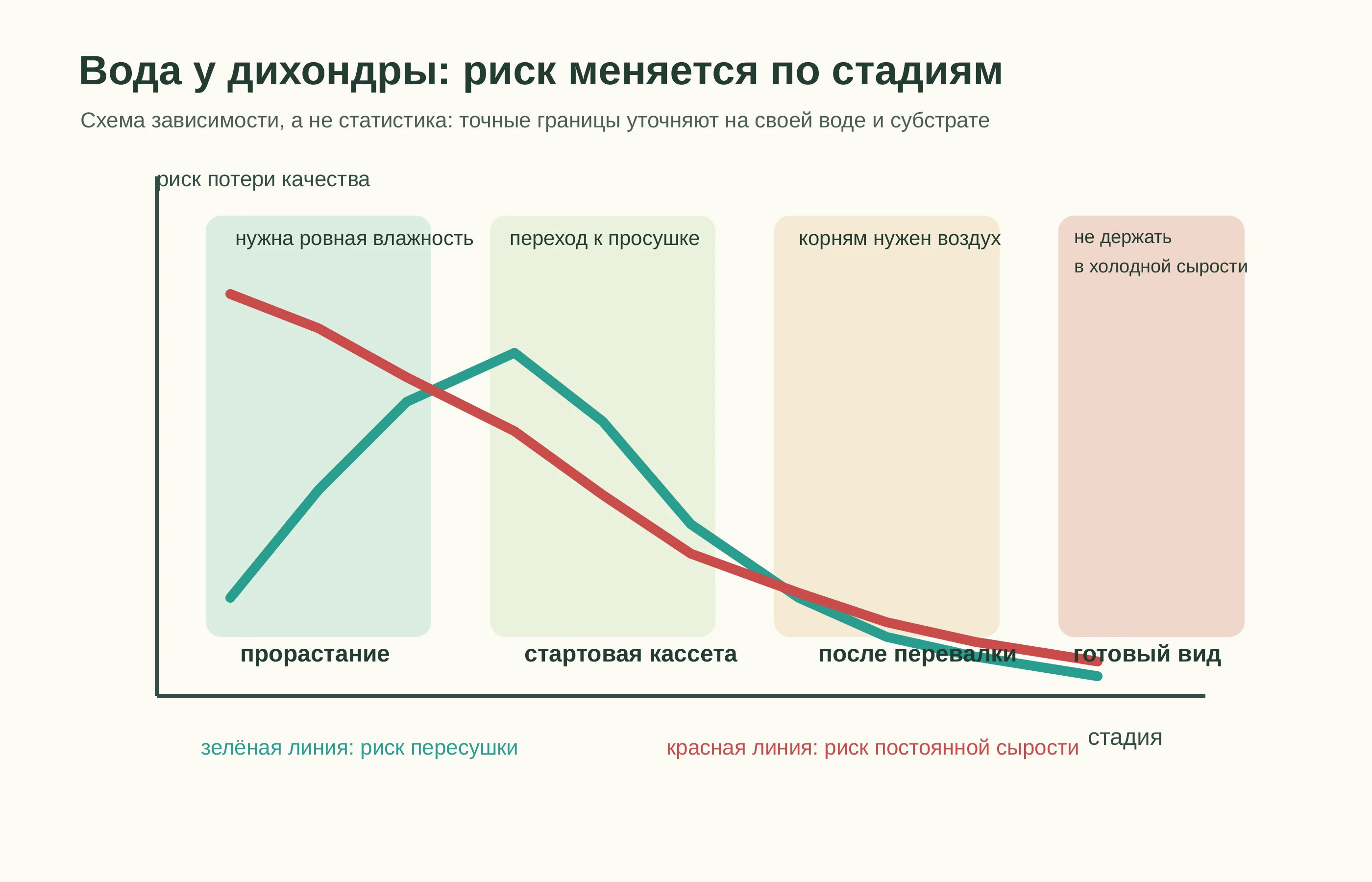 График риска при поливе дихондры по стадиям