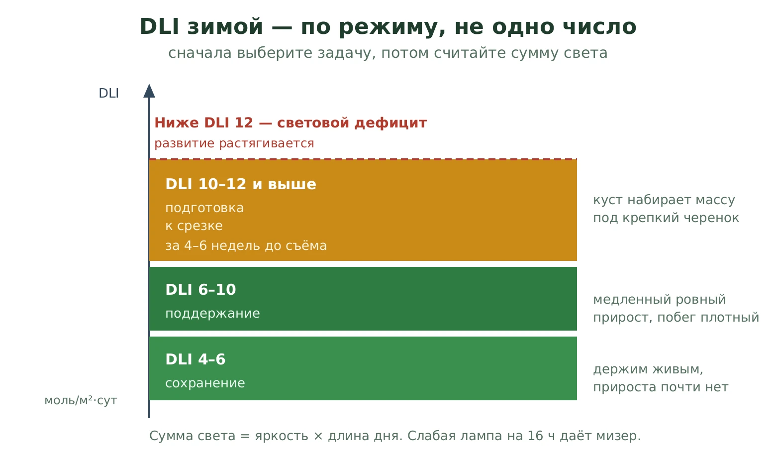 Шкала суточной суммы света DLI по режимам: сохранение 4-6, поддержание формы 6-10, подготовка к срезке 10-12 и выше; ниже 12 - зона светового дефицита
