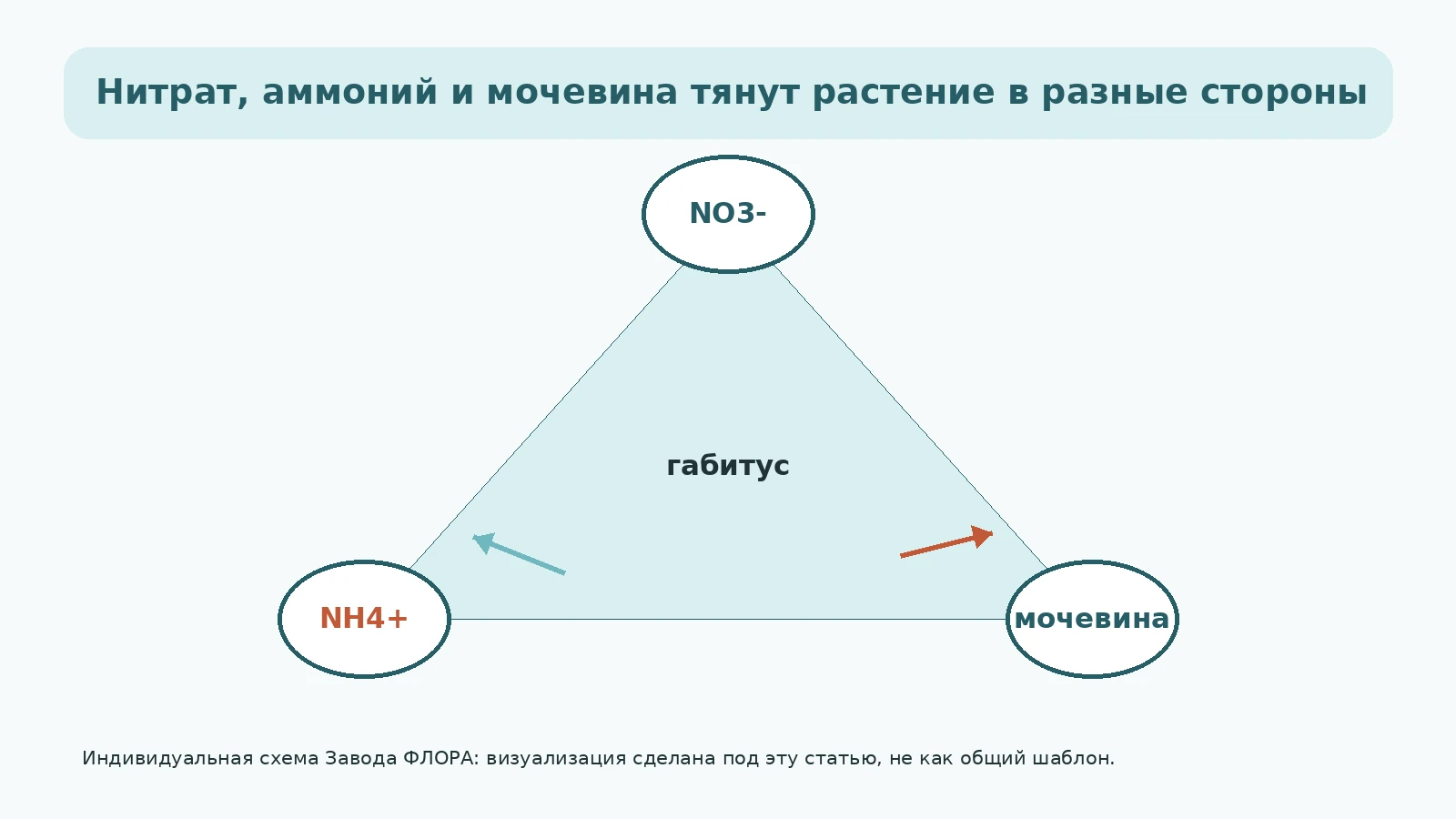 Треугольник форм азота: нитрат, аммоний и мочевина