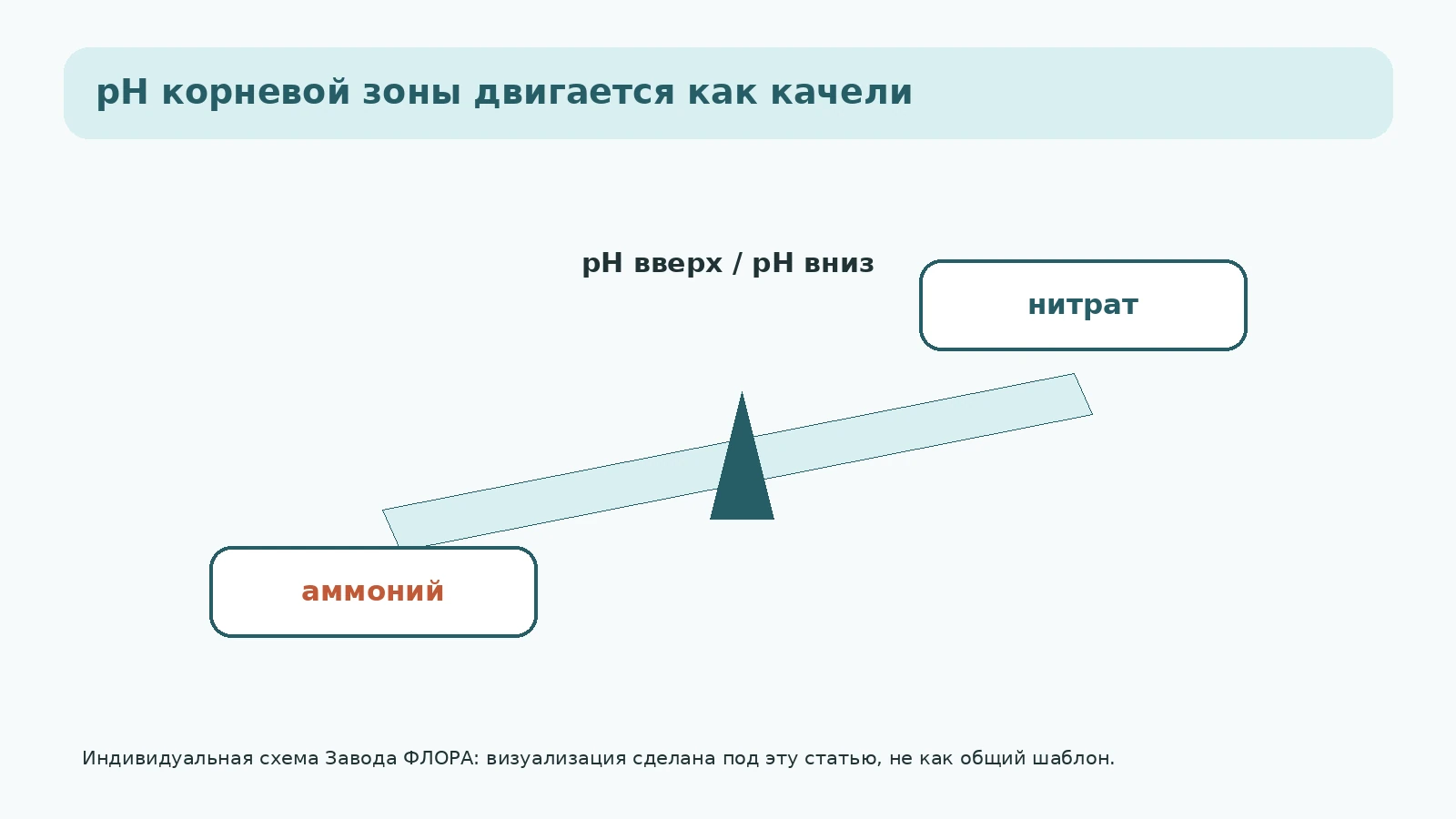Качели pH корневой зоны при нитратном и аммонийном питании