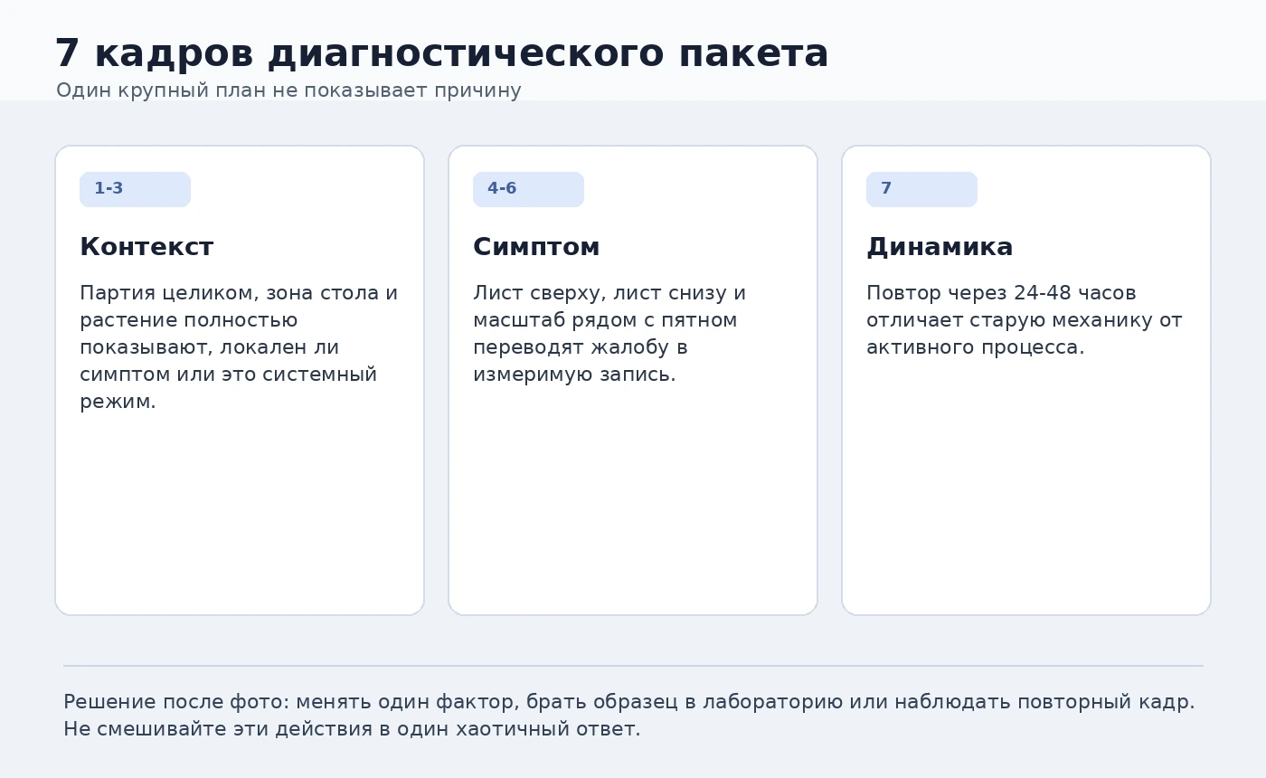 Схема семи кадров диагностического пакета для фото симптома