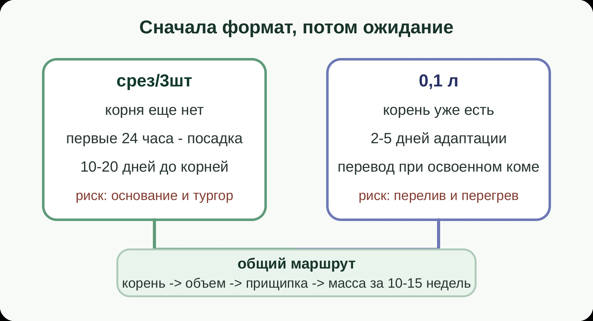 Карта выбора между срезом 3 штуки и фуксией 0,1 литра