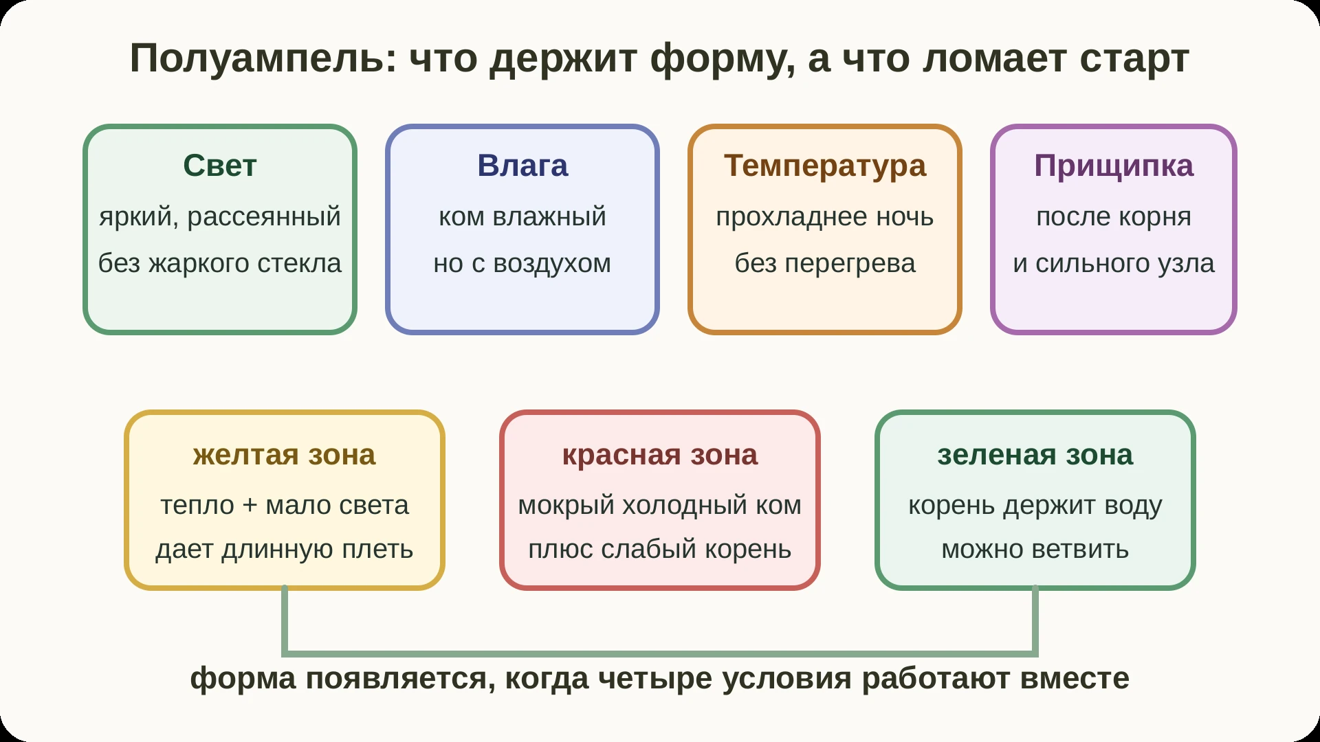 Матрица ухода и рисков для полуампельной фуксии