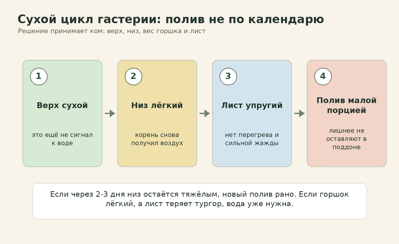 Сухой цикл гастерии: верх, низ, вес горшка и лист перед поливом