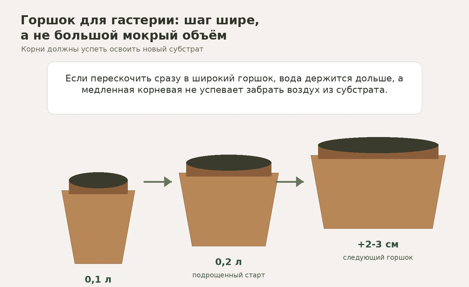 Горшок для гастерии: 0,1 л, 0,2 л и следующий шаг +2-3 см без большого мокрого объёма