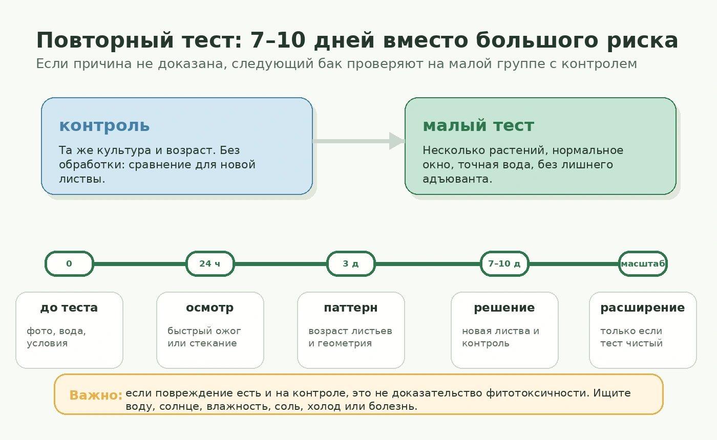 Повторный тест после подозрения на фитотоксичность: контроль, 24 часа, 3 дня, 7-10 дней и масштабирование