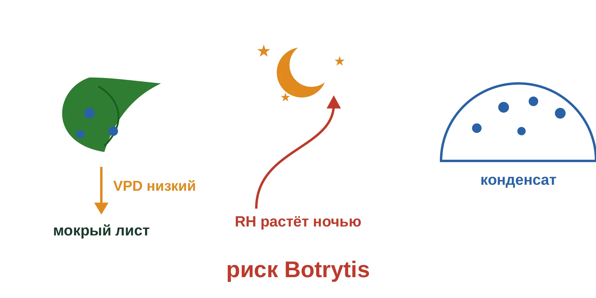 Связка факторов ночного риска влажности: зелёный лист с каплями и подписью «VPD низкий» — мокрый лист, ночное небо с луной и подписью «RH растёт ночью», купол с каплями конденсата, итог — «риск Botrytis»