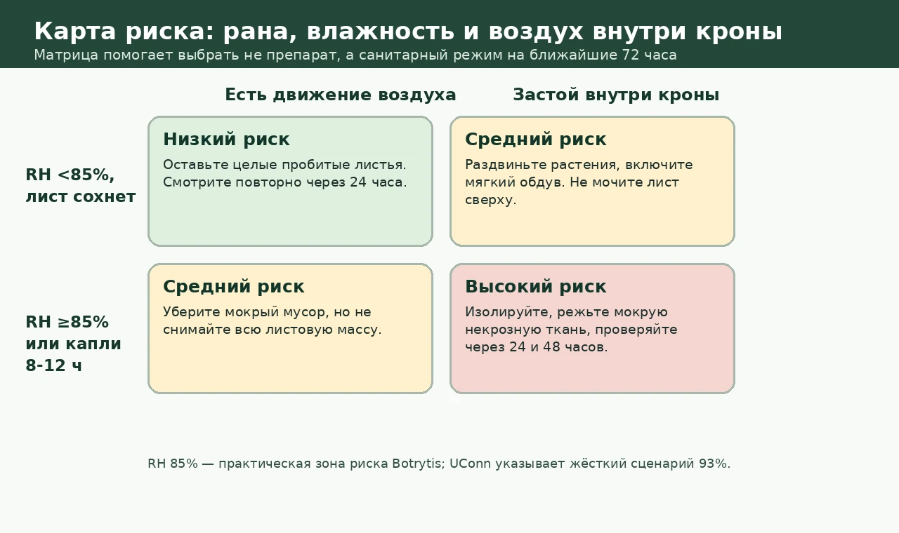 Матрица риска серой гнили после градобоя по влажности воздуха и движению воздуха
