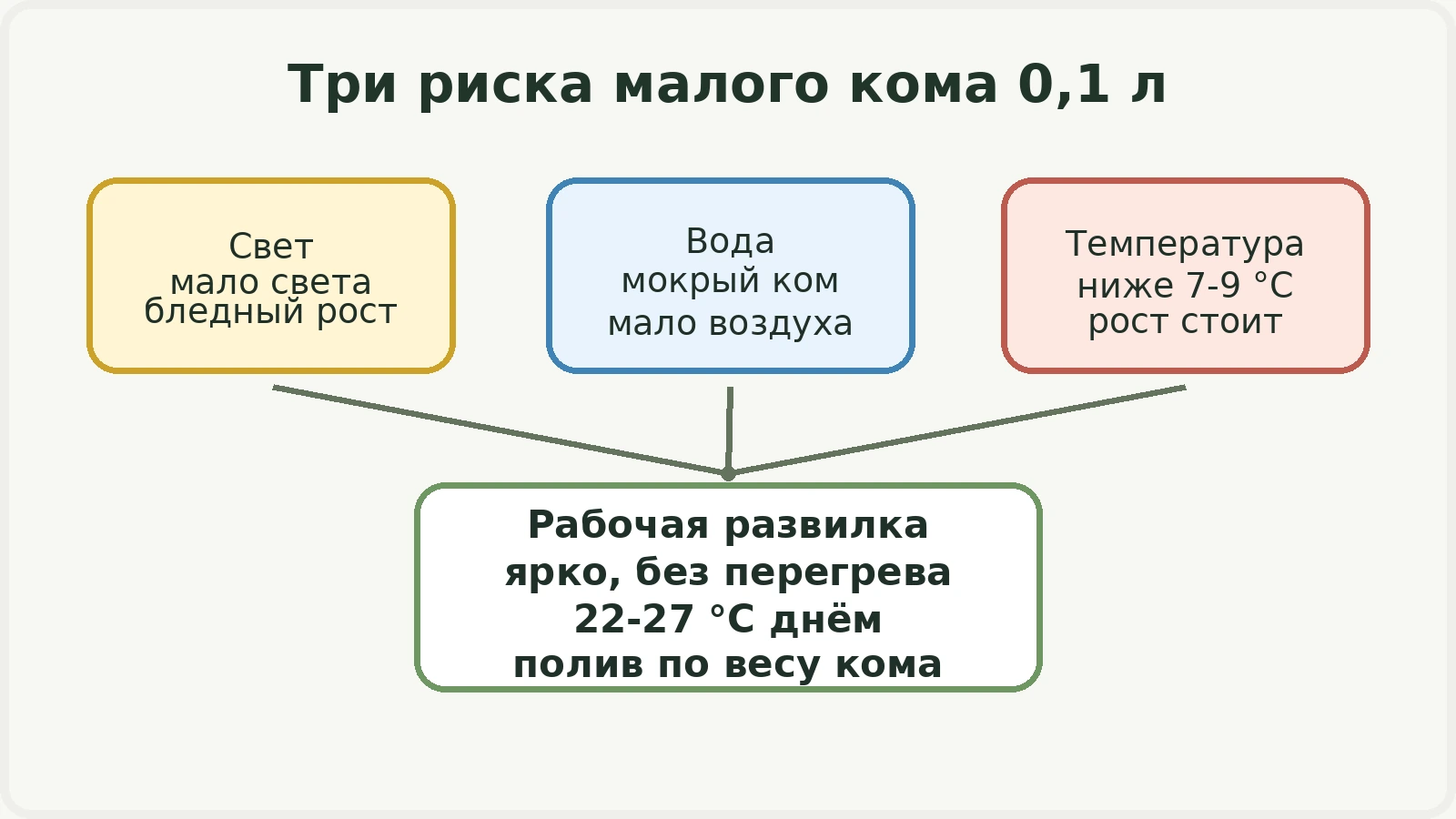 Карта рисков света воды и температуры для ФлораМиа Камео в 0,1 л