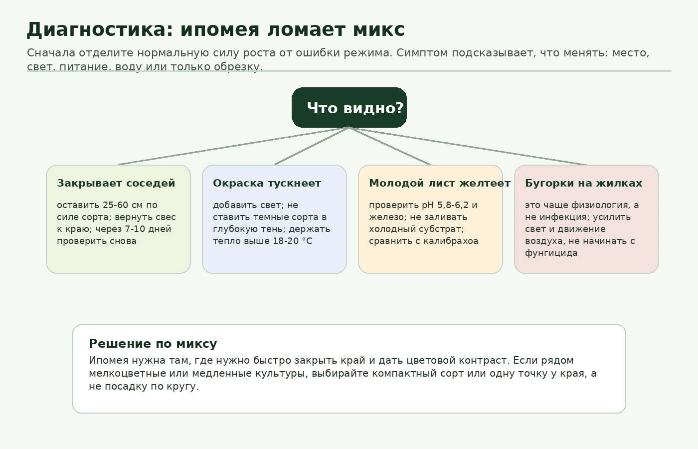 Дерево диагностики проблем ипомеи в смешанном контейнере