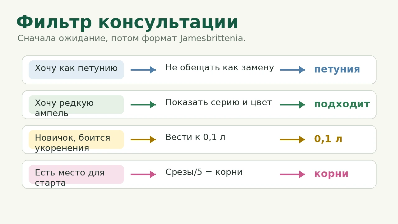 Фильтр консультации по джеймсбриттении: петуния, редкая ампель, 0,1 л или срезы