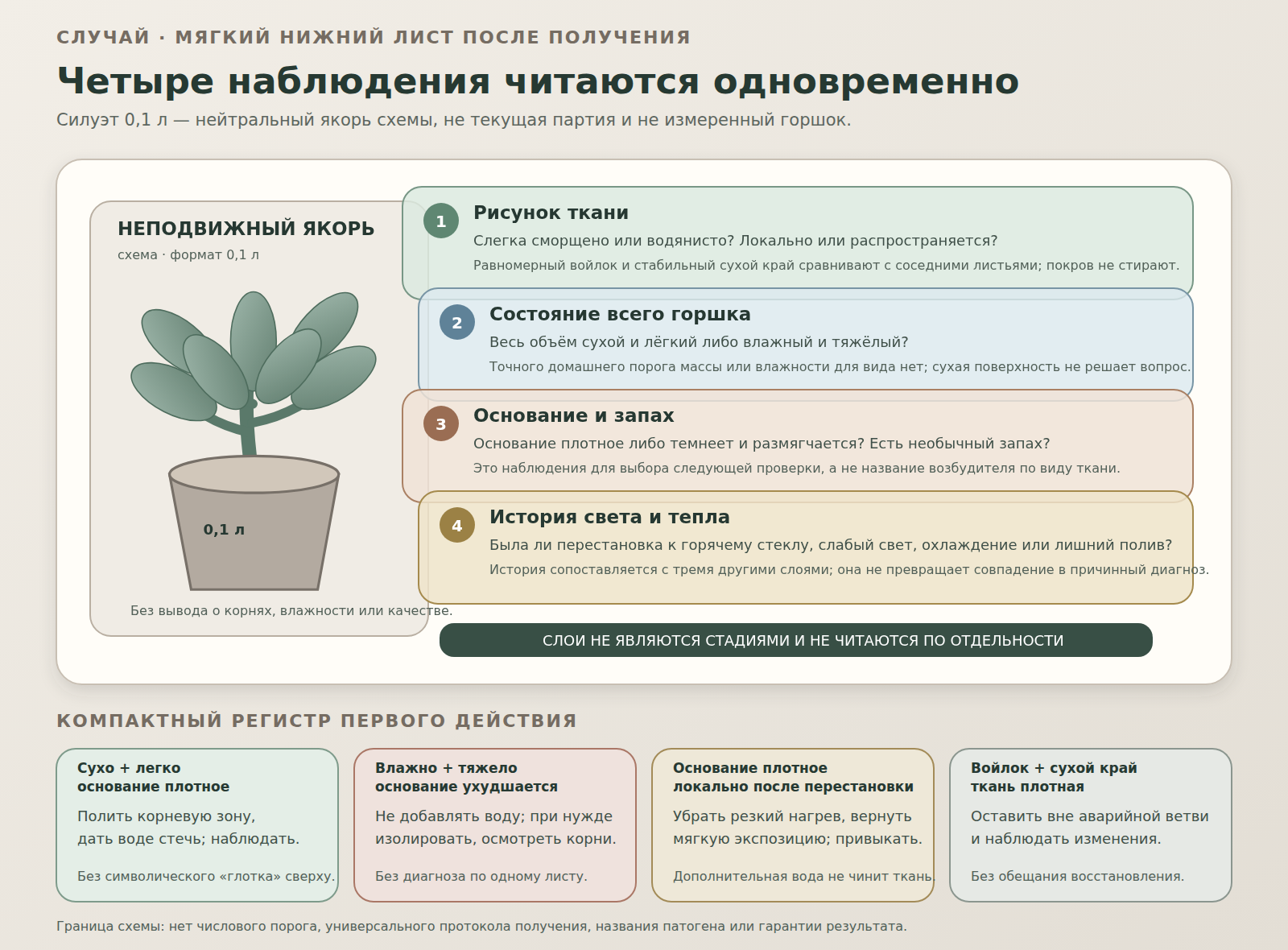 Послойная схема случая с нейтральным горшком 0,1 л и четырьмя одновременными проверками: ткань, состояние всего горшка, основание с запахом и история света или тепла.