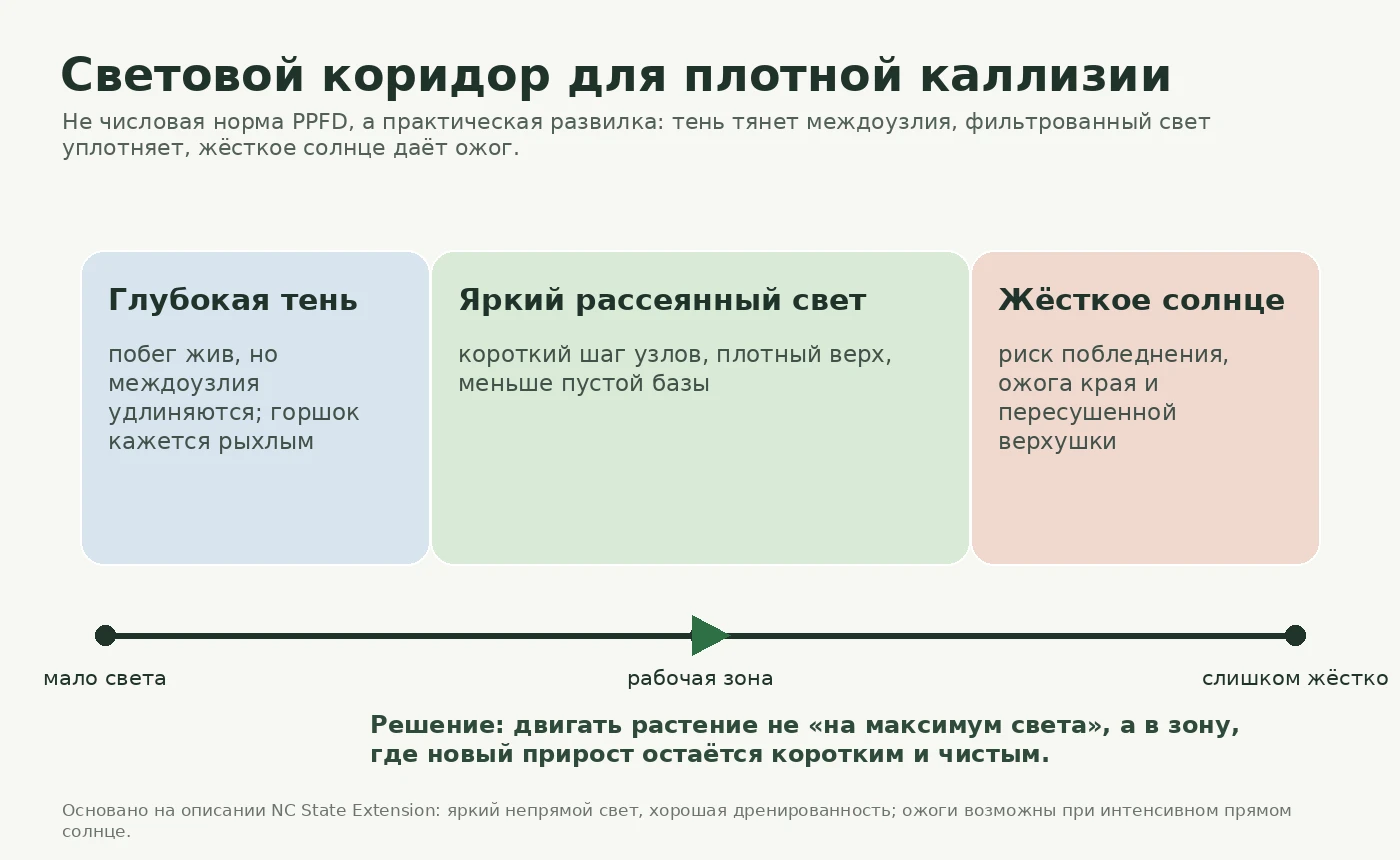 Схема светового коридора для каллизии: глубокая тень, яркий рассеянный свет и жёсткое солнце