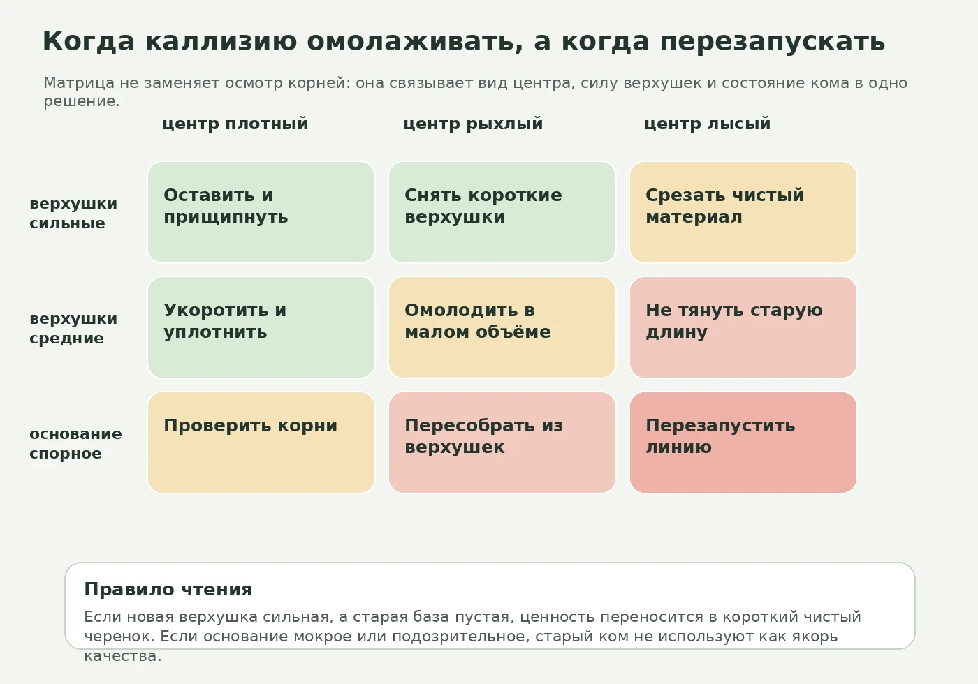 Матрица решения по омоложению каллизии: оставить, укоротить, проверить корни или перезапустить