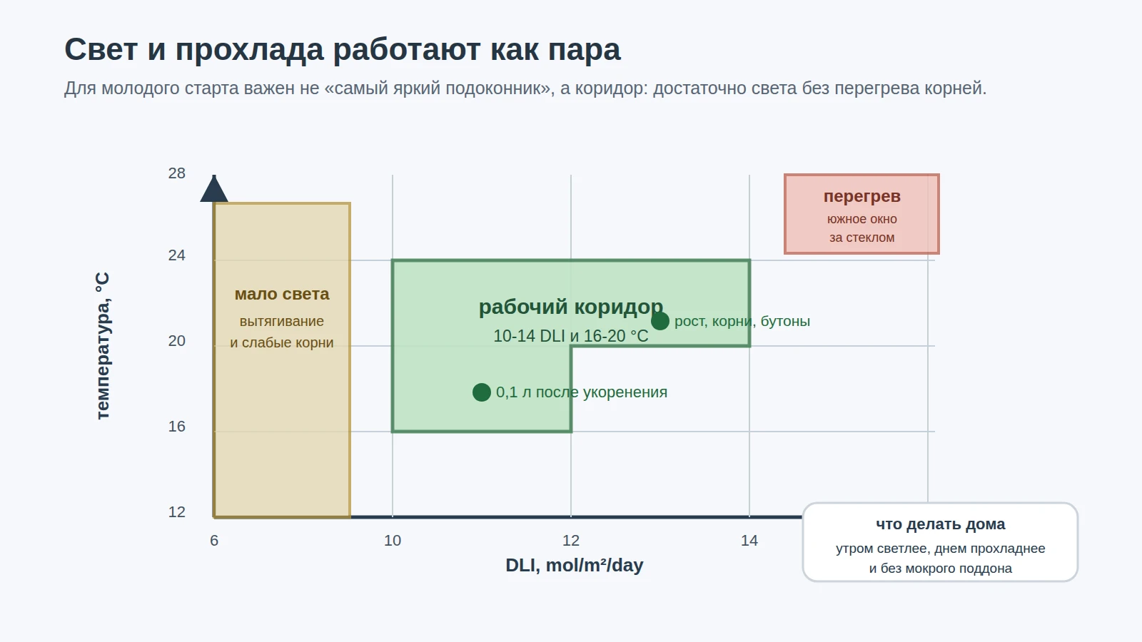 Диаграмма рабочего коридора света DLI и температуры для молодой кампанулы Бали