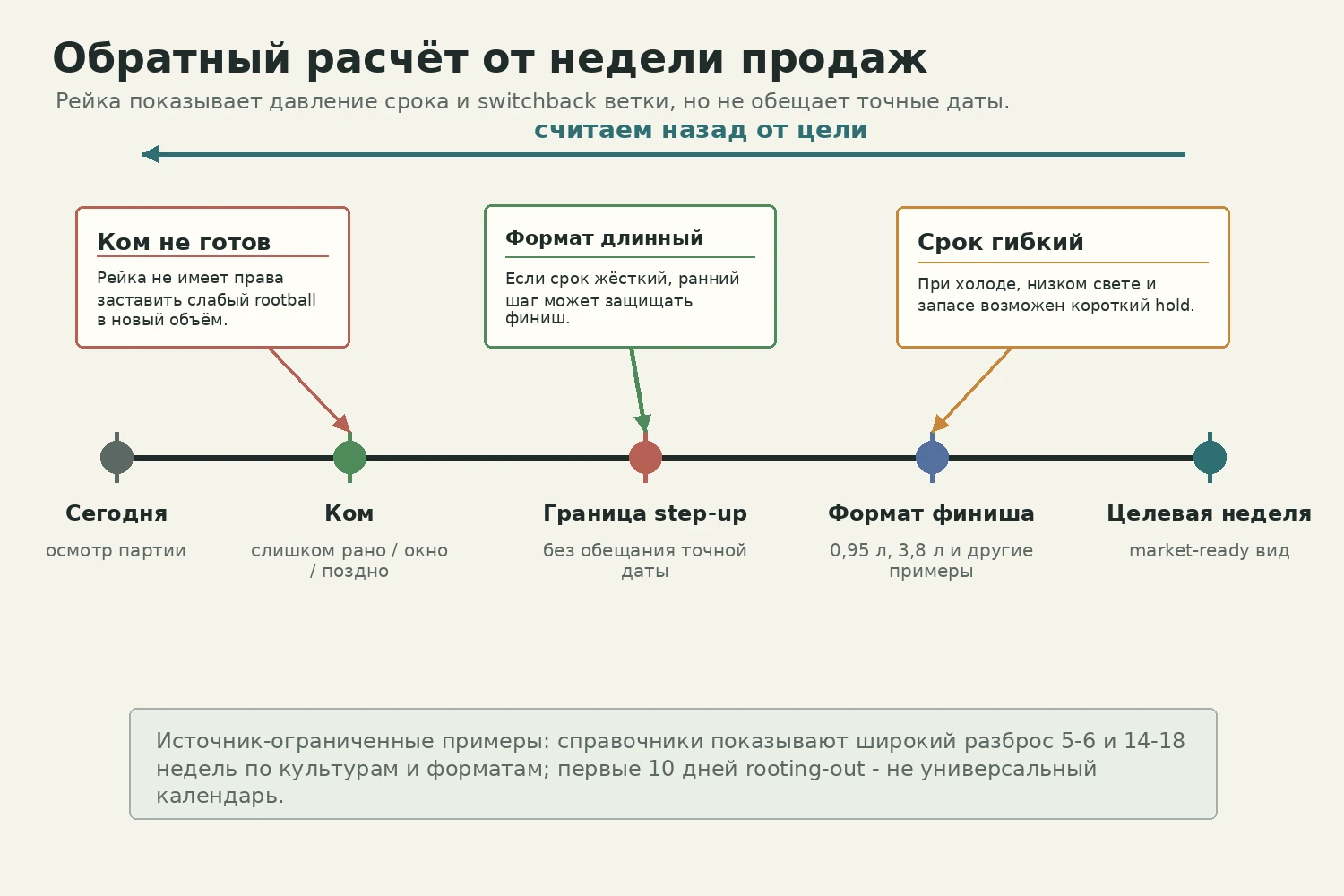 Обратная рейка от целевой недели продаж к окну step-up и веткам решения.