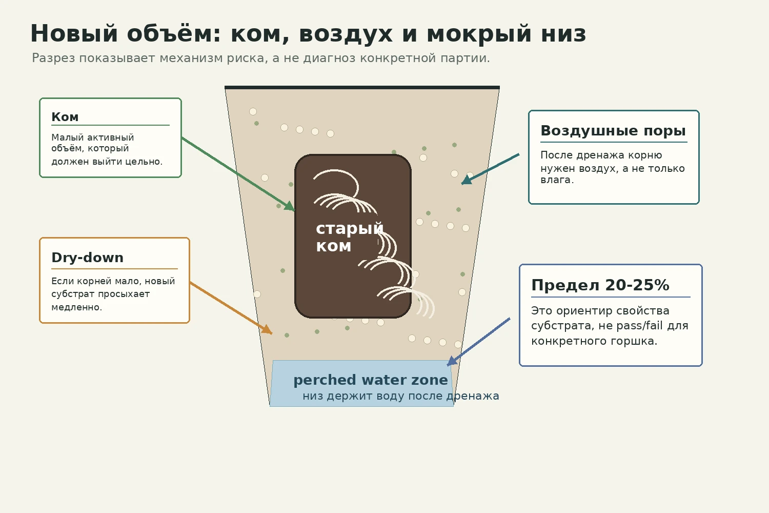 Разрез контейнера после step-up: старый корневой ком, новый субстрат, воздушные поры и мокрый низ.