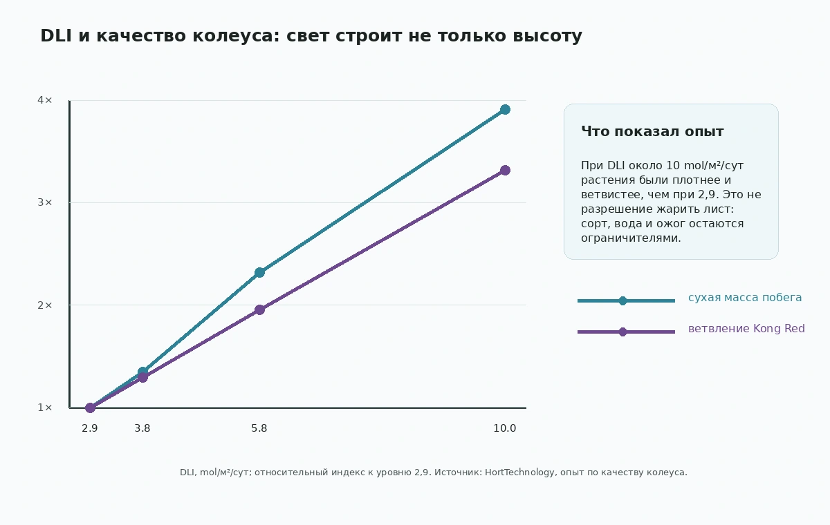 График: при росте DLI у колеуса увеличиваются сухая масса и ветвление относительно низкого света.