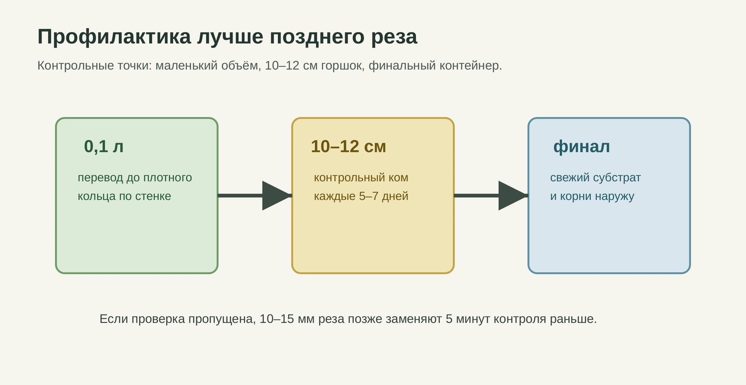 Маршрут профилактики кольцевания корней от 0,1 л до 10-12 см горшка