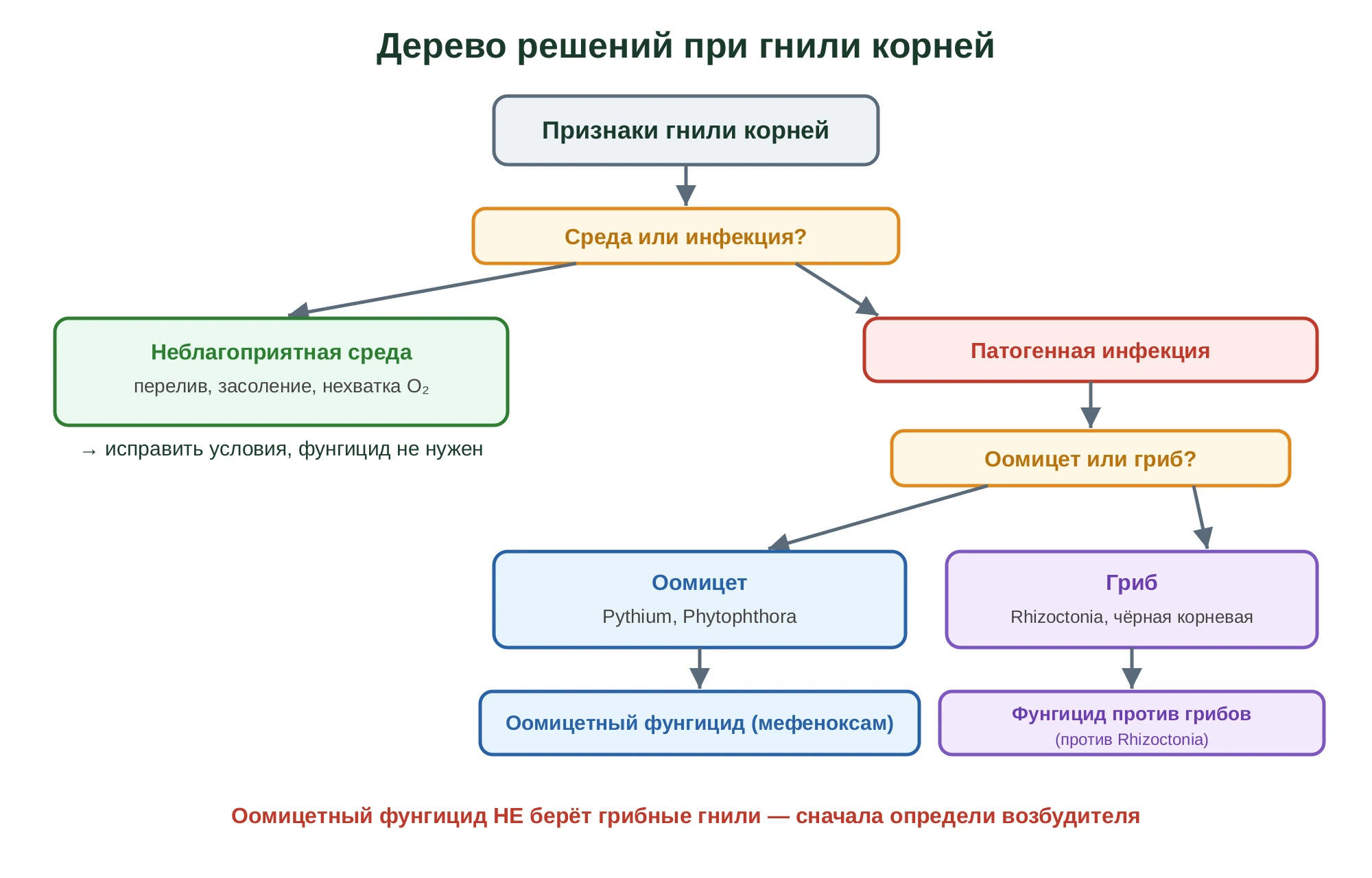 Дерево решений при гнили корней: сначала отделяют неблагоприятную среду от инфекции, затем оомицет (Pythium, Phytophthora) от гриба (Rhizoctonia, чёрная корневая) и подбирают соответствующий фунгицид