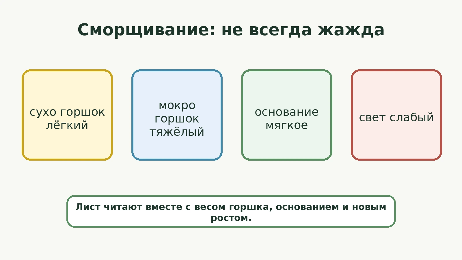 Схема диагностики сморщивания крассулы: сухой или мокрый горшок, мягкое основание, слабый свет
