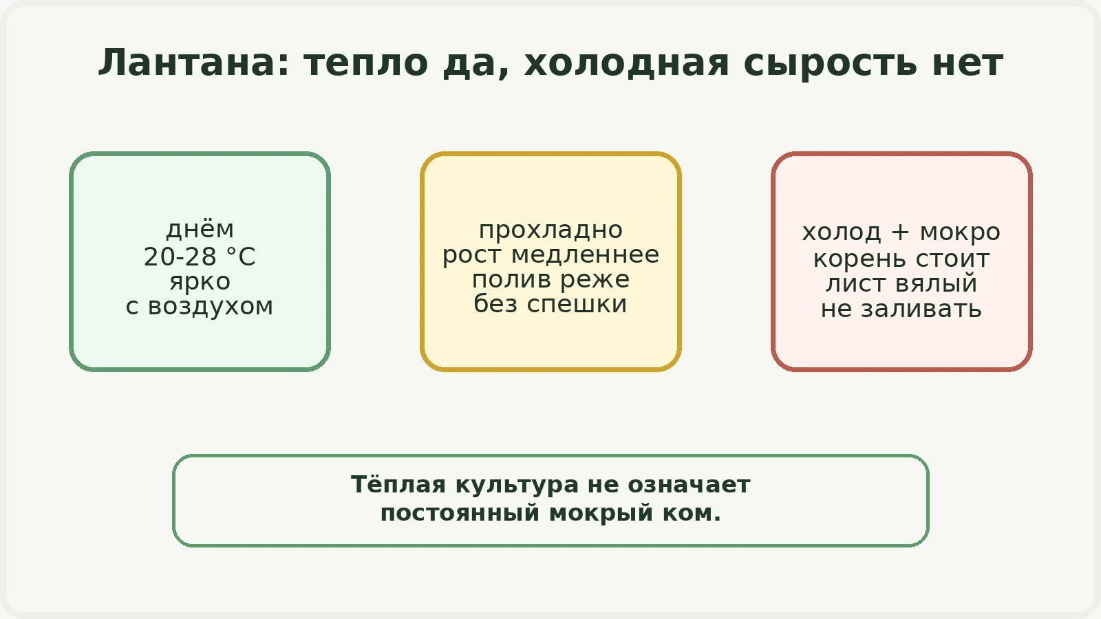 Диаграмма: лантана любит тепло, но не холодную сырость
