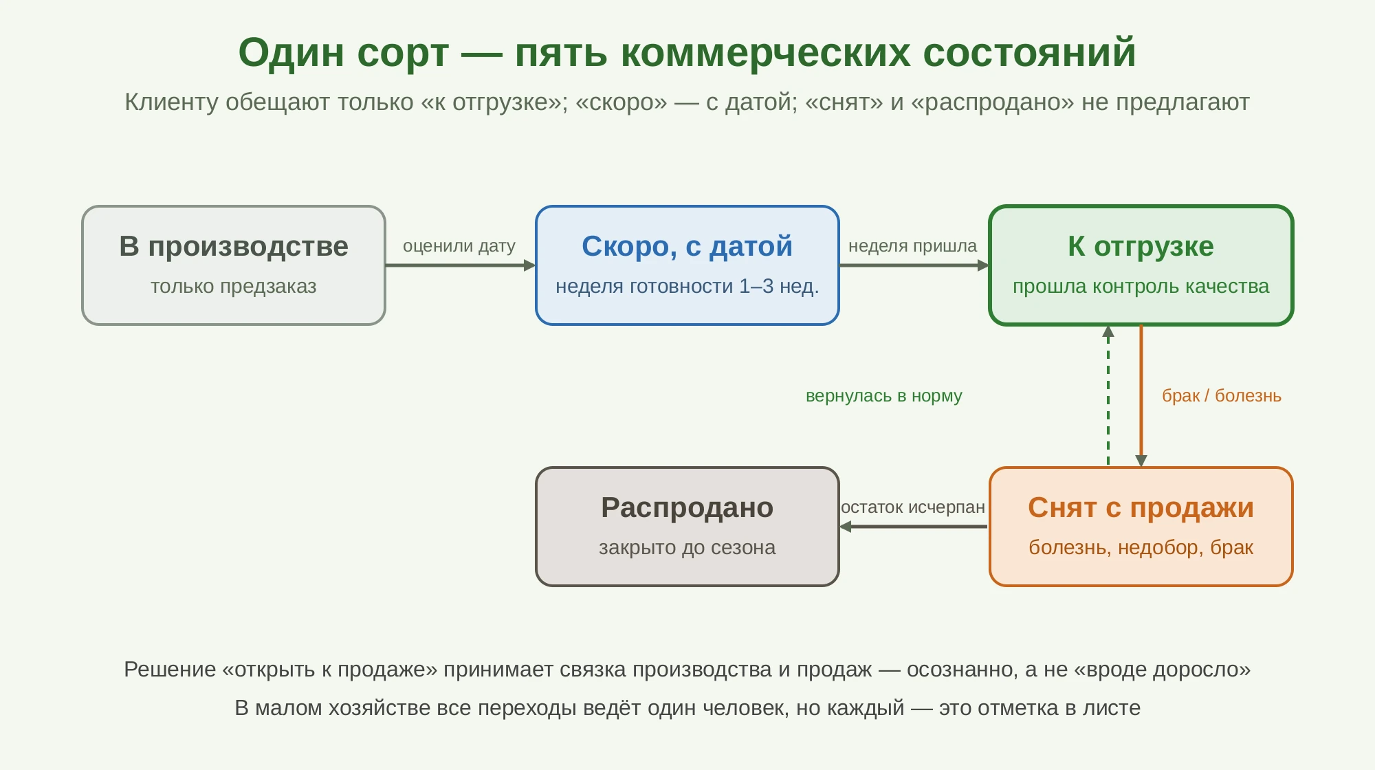 Пять коммерческих состояний партии в листе доступности и переходы между ними: в производстве, скоро с датой, к отгрузке, снят с продажи, распродано