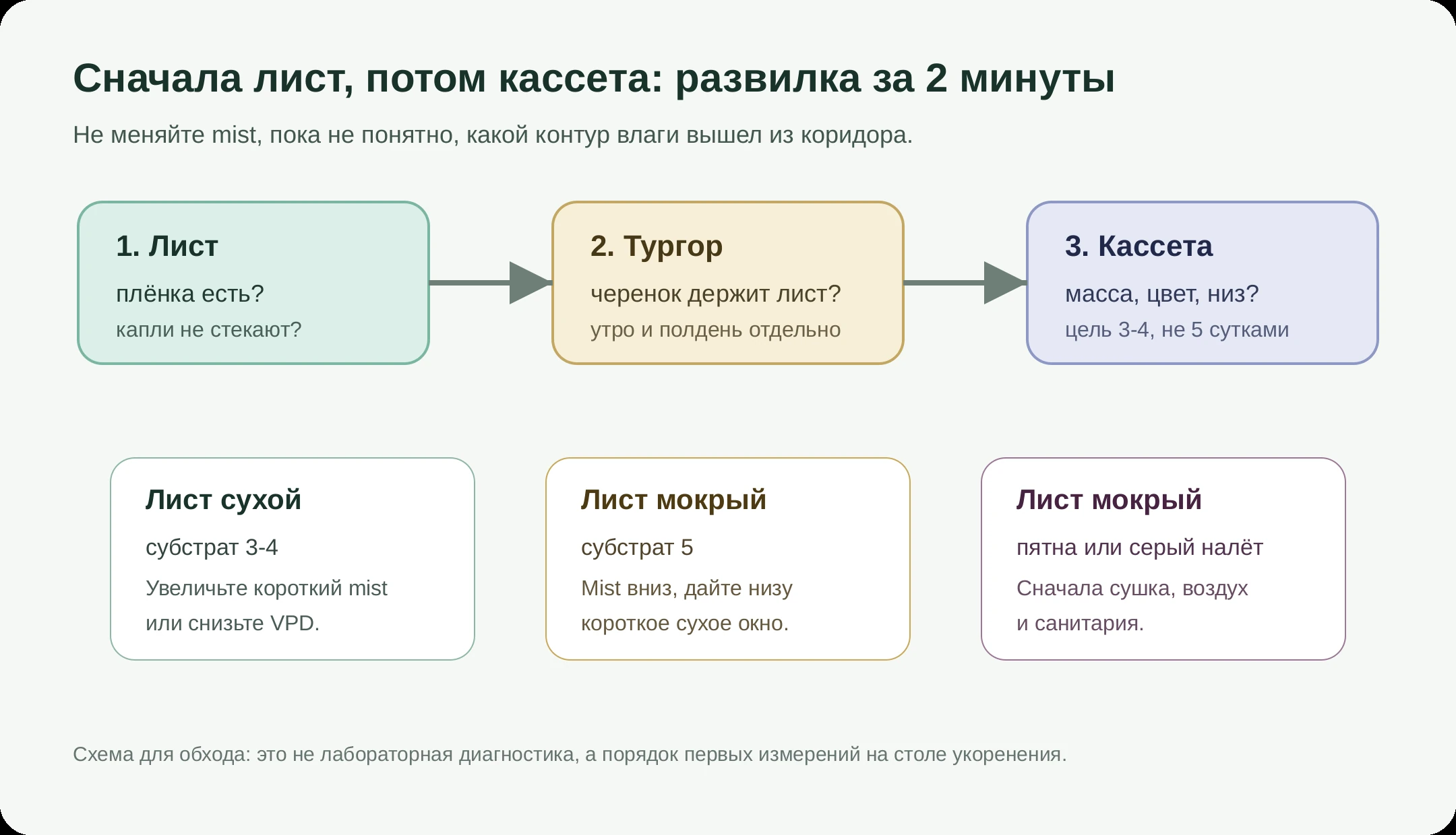 Диагностическая развилка между влажностью листа и влажностью субстрата