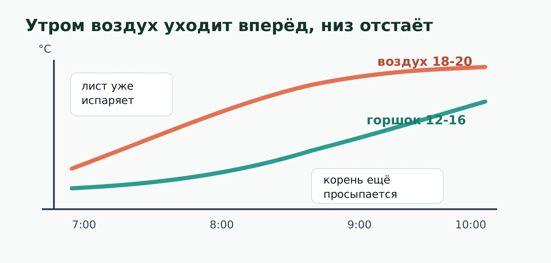 Схема: воздух утром прогревается быстрее, чем влажный горшок, поэтому лист может проснуться раньше корня.