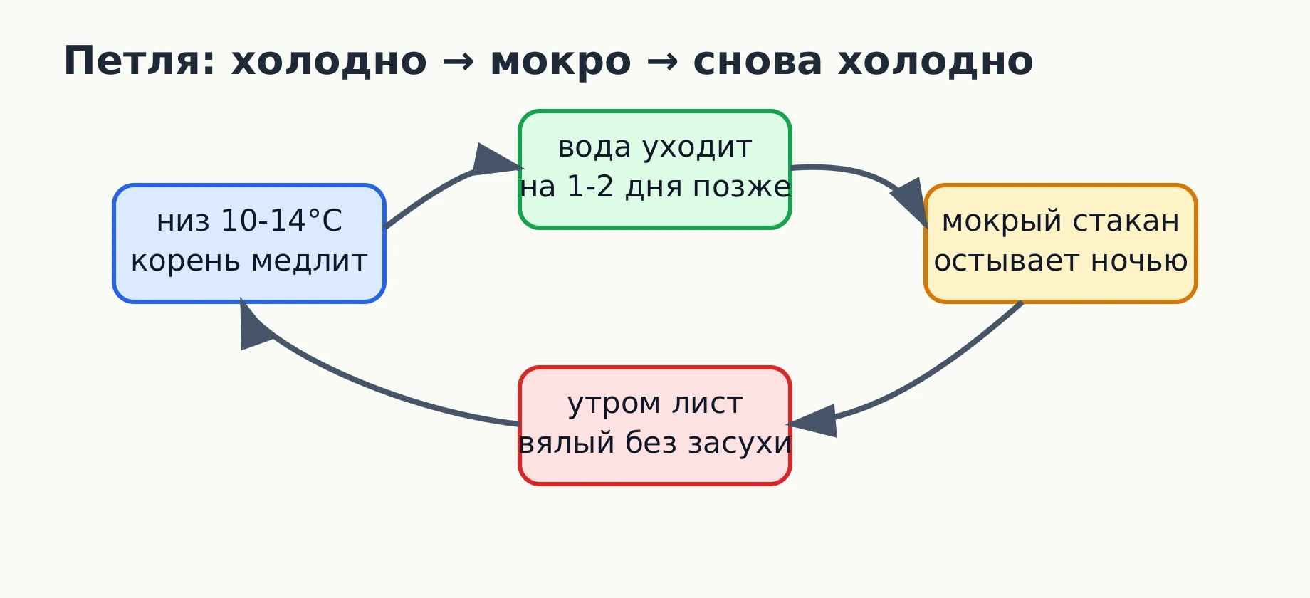Схема холодной петли: холодный низ замедляет корень, вода стоит, мокрый субстрат снова остывает.