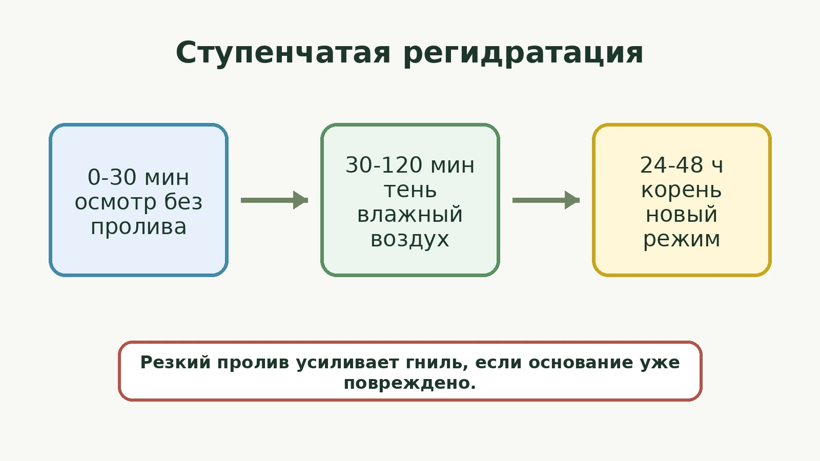 Диаграмма: ступенчатая регидратация черенка в первые 48 часов
